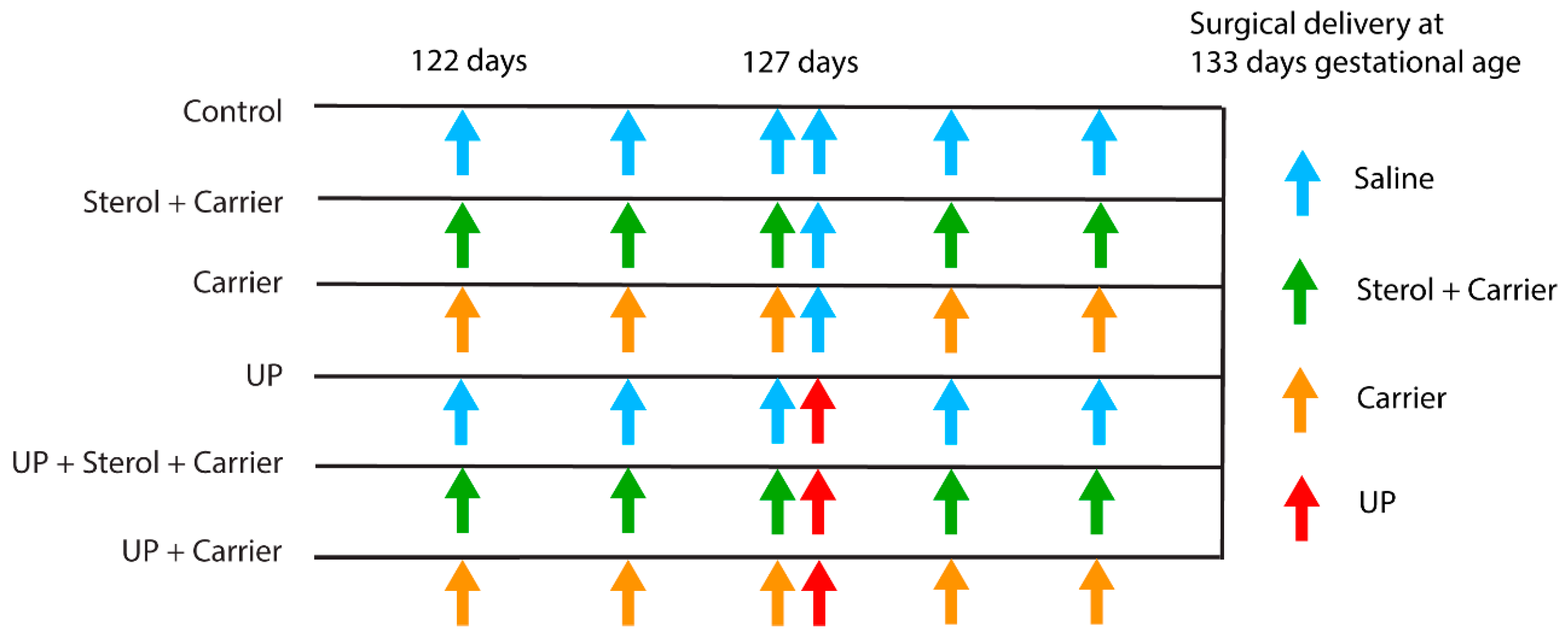Nutrients 12 01312 g001 Nutrients 12 01312 g001