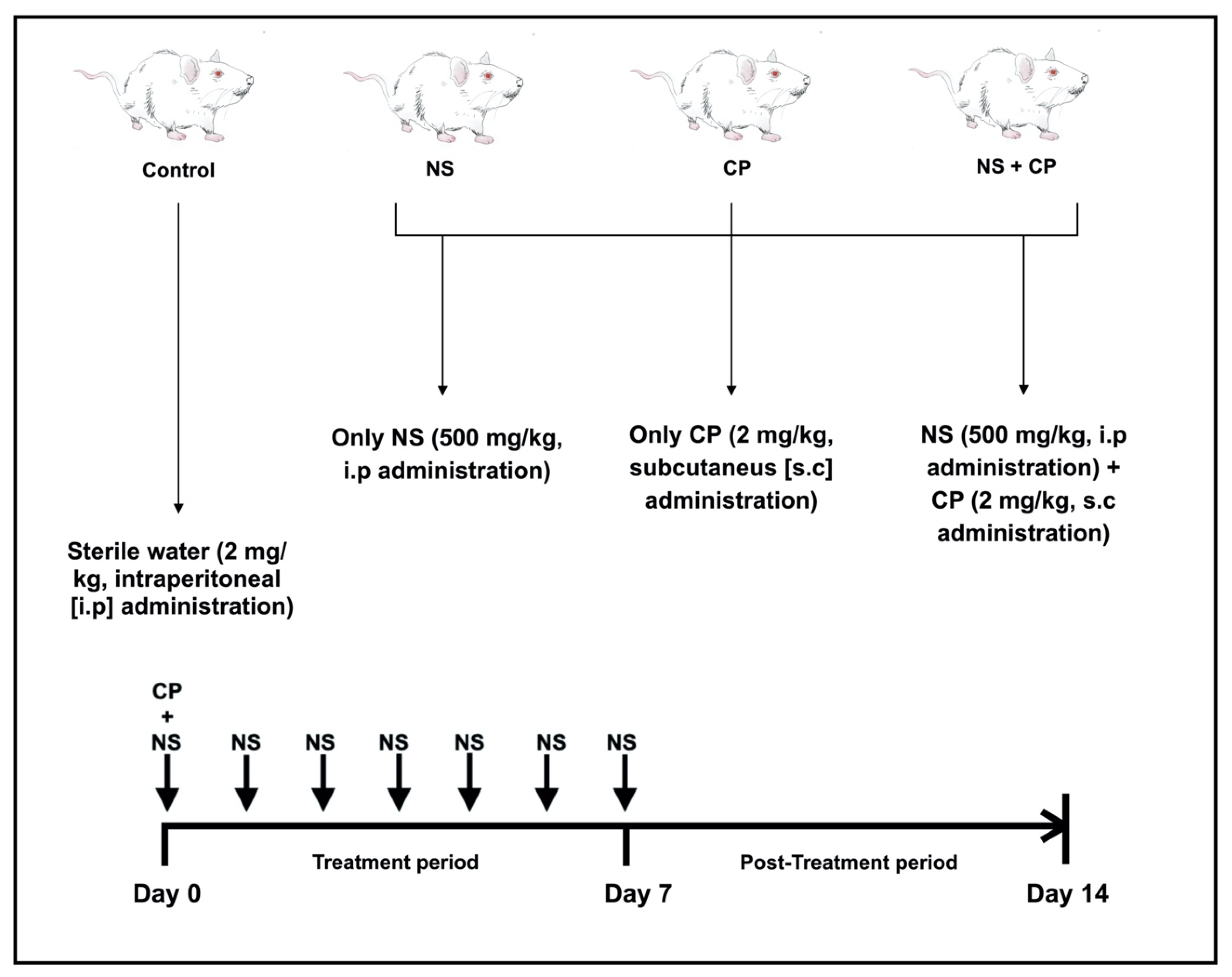 Nutrients 12 01317 g001