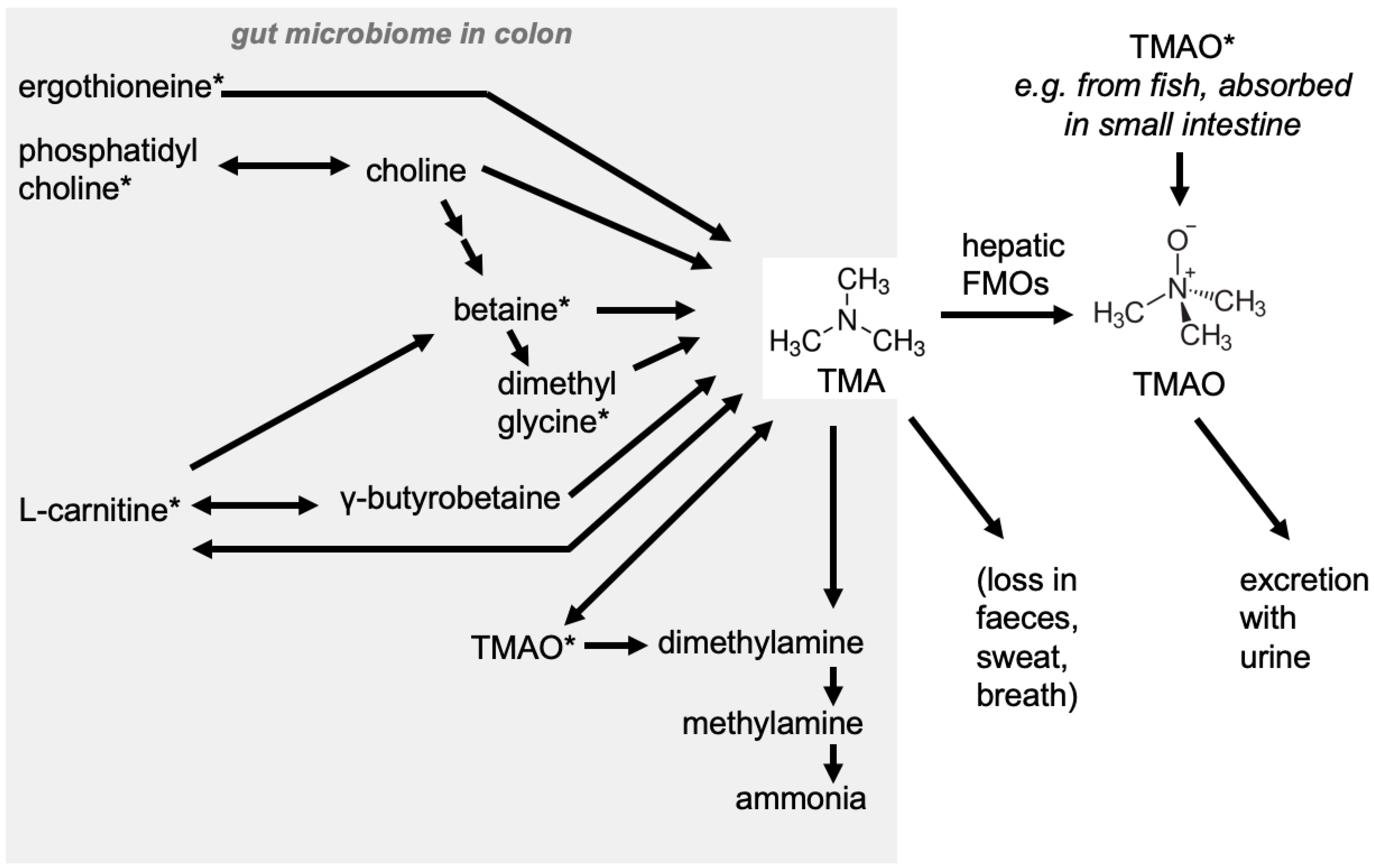 Nutrients 12 01330 g002