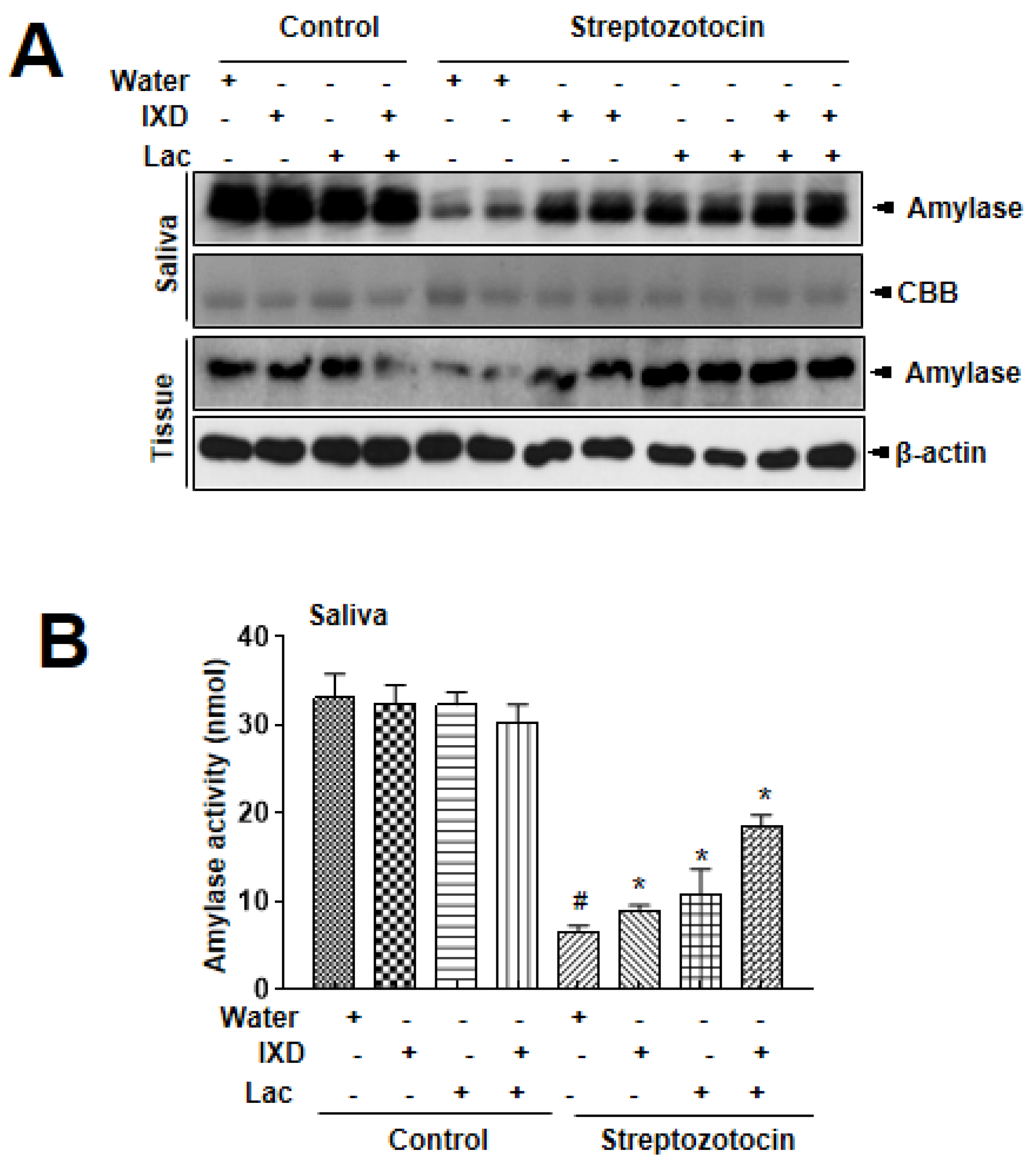 Nutrients 12 01331 g002 Nutrients 12 01331 g002
