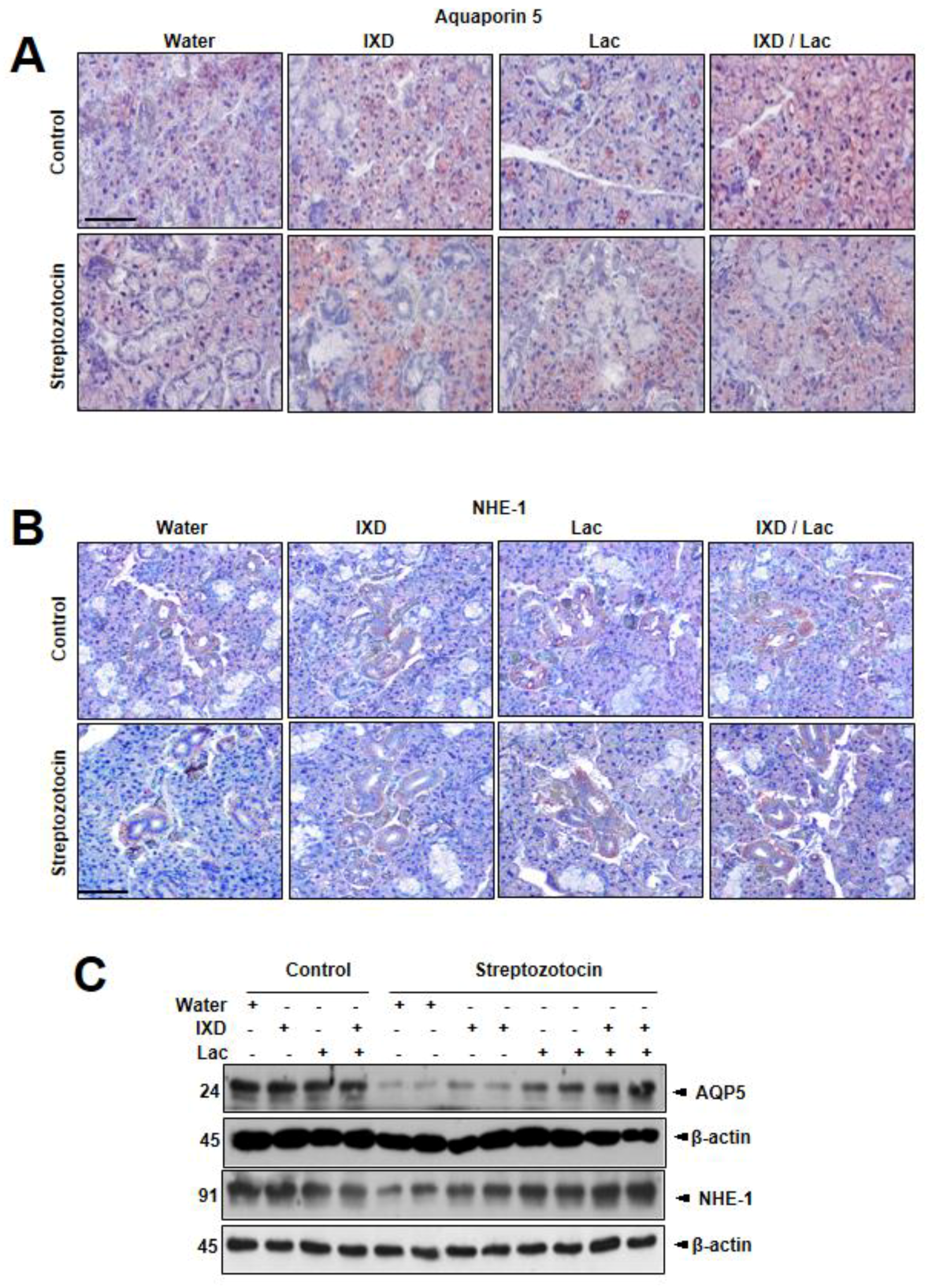 Nutrients 12 01331 g003 Nutrients 12 01331 g003