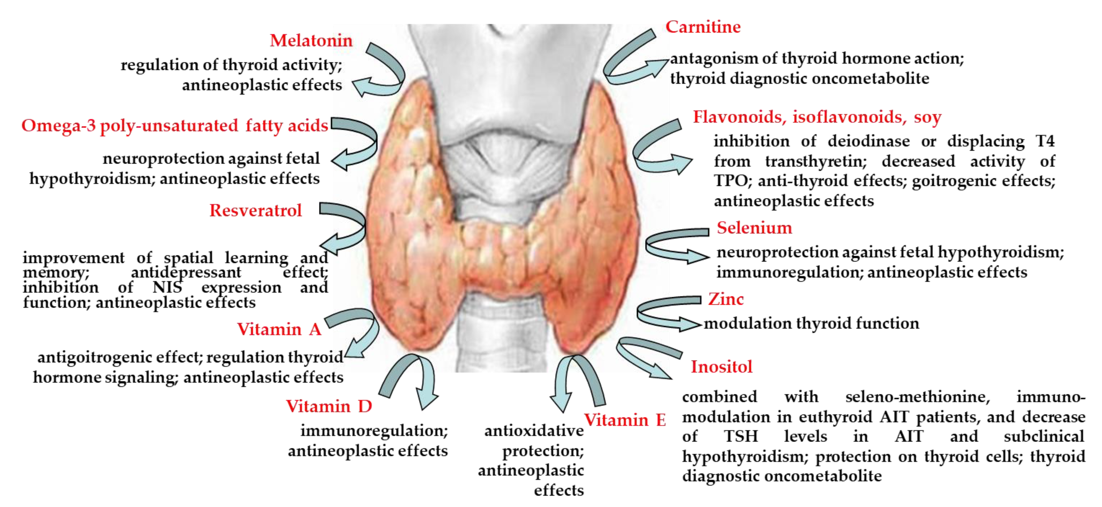 hypothyreosis és prostatitis