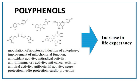 Nutrients Free Full Text Polyphenols As Caloric Restriction Mimetics And Autophagy Inducers In Aging Research Html