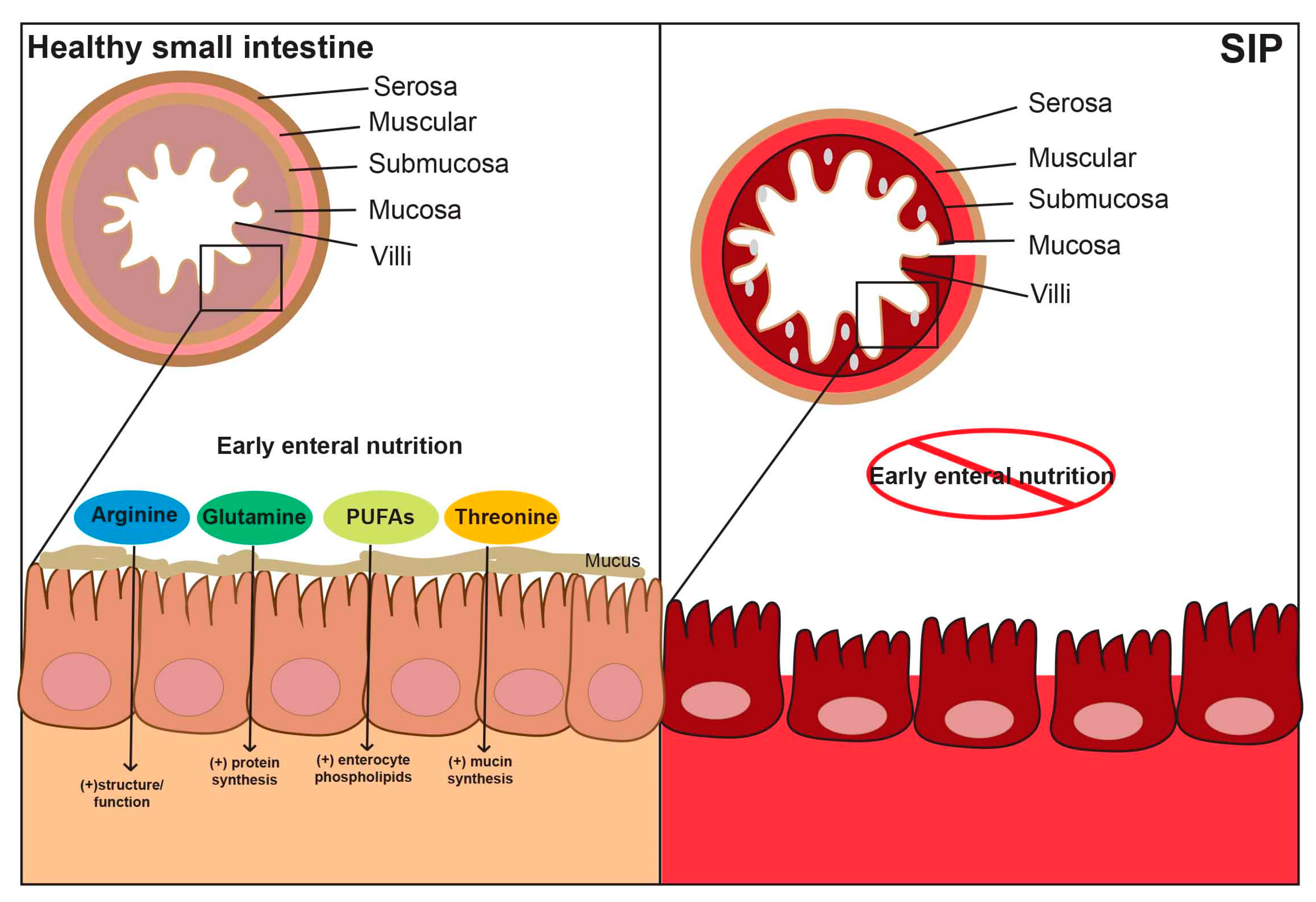 Nutrients 12 01347 g003 Nutrients 12 01347 g003