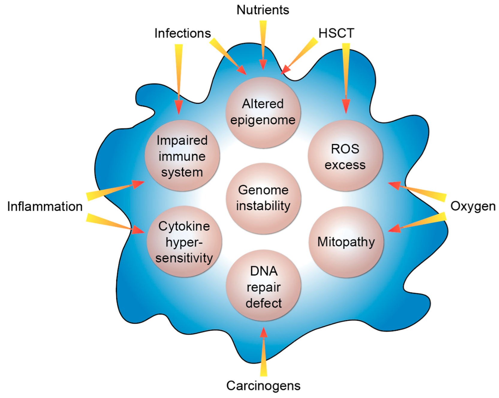 Nutrients 12 01355 g002