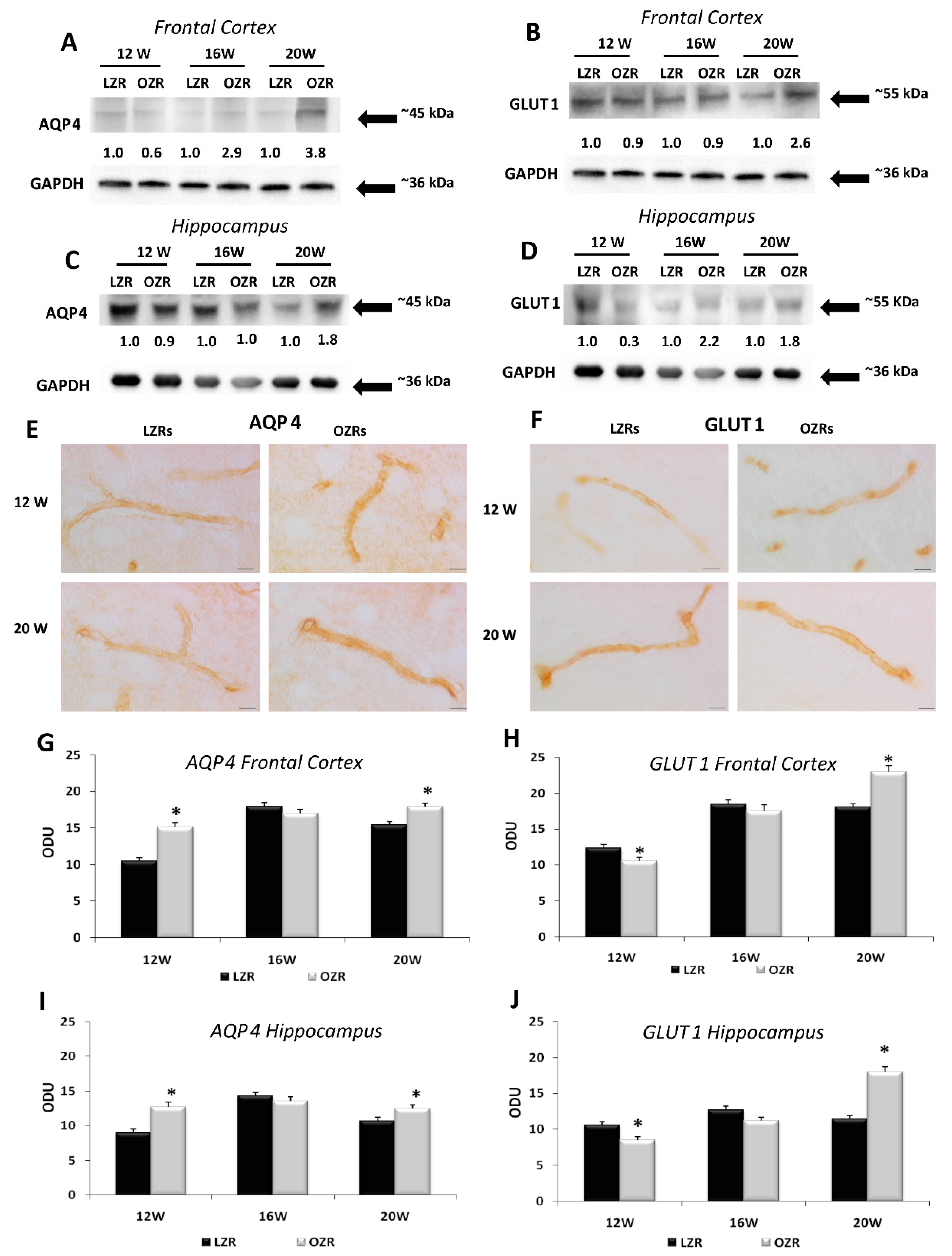 Nutrients 12 01356 g005