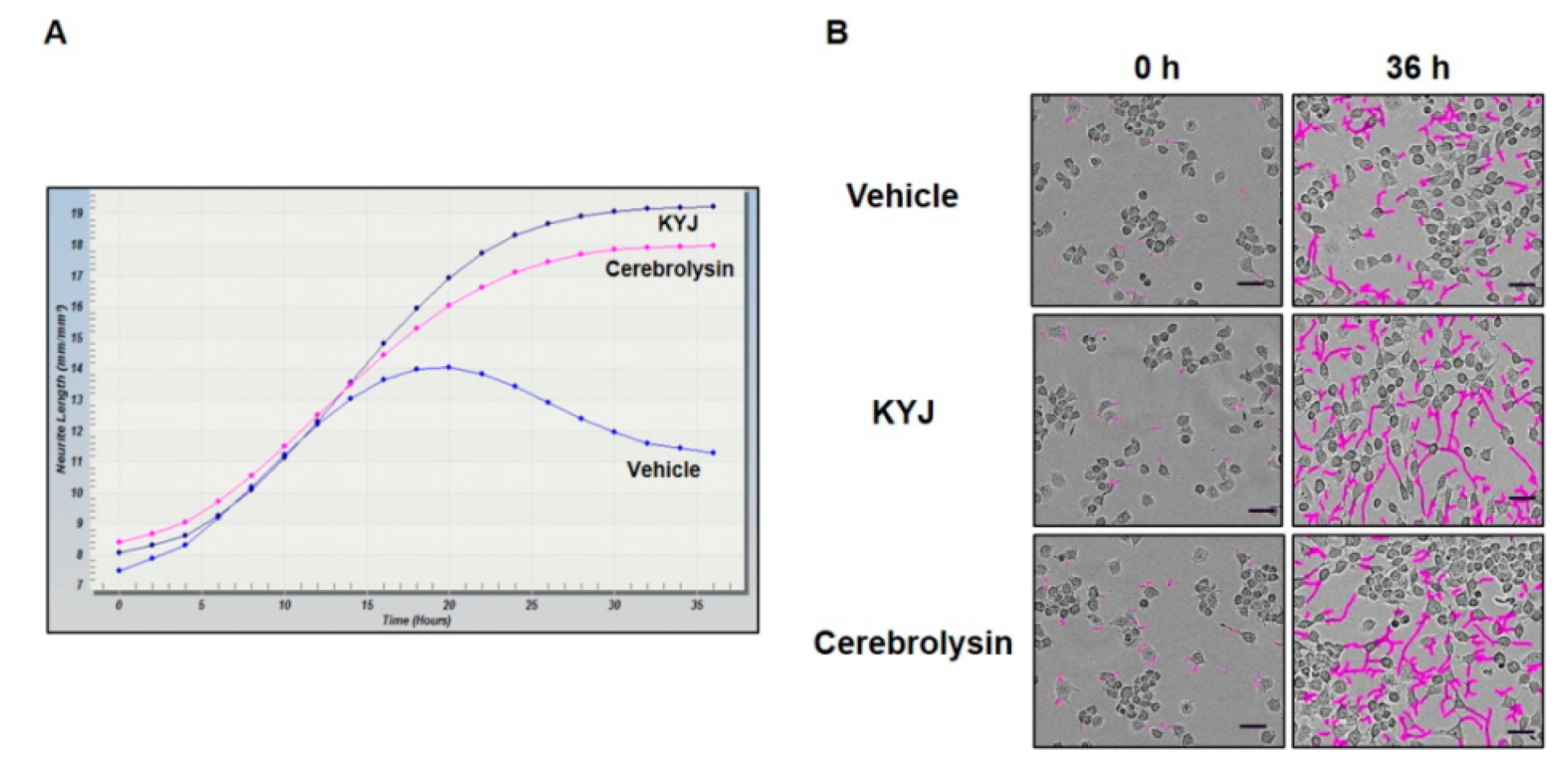 Nutrients 12 01372 g002 Nutrients 12 01372 g002