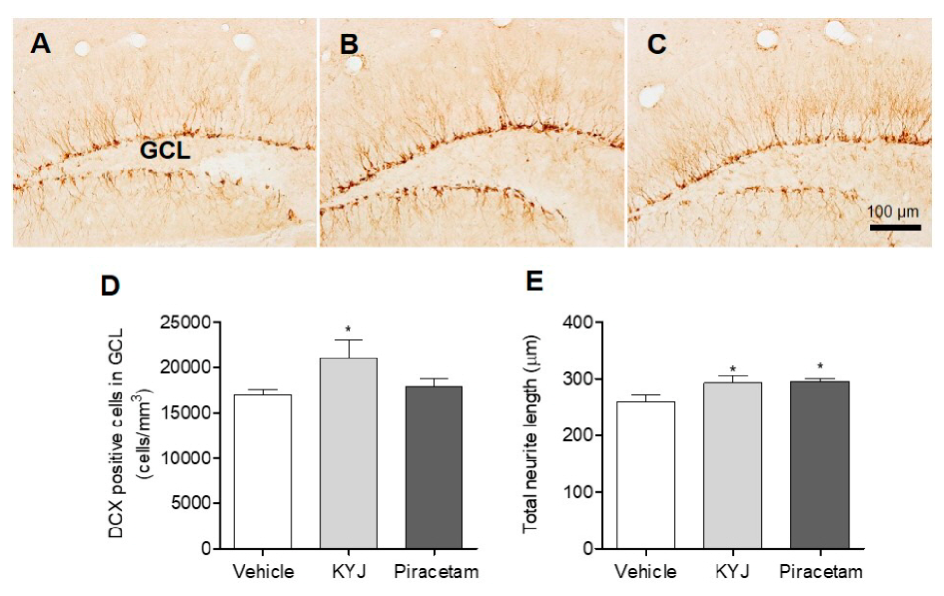Nutrients 12 01372 g006 Nutrients 12 01372 g006