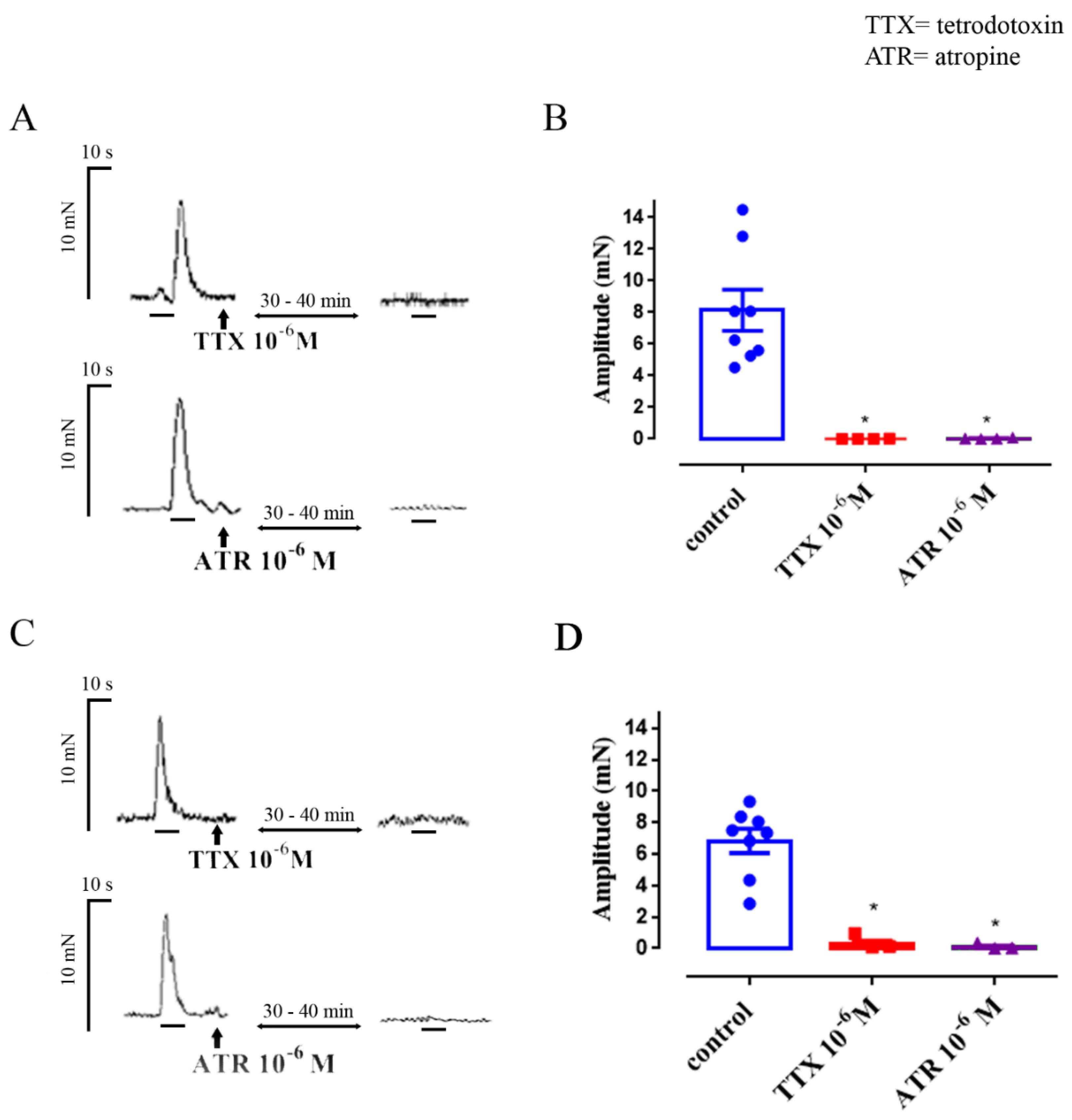 Nutrients 12 01381 g001