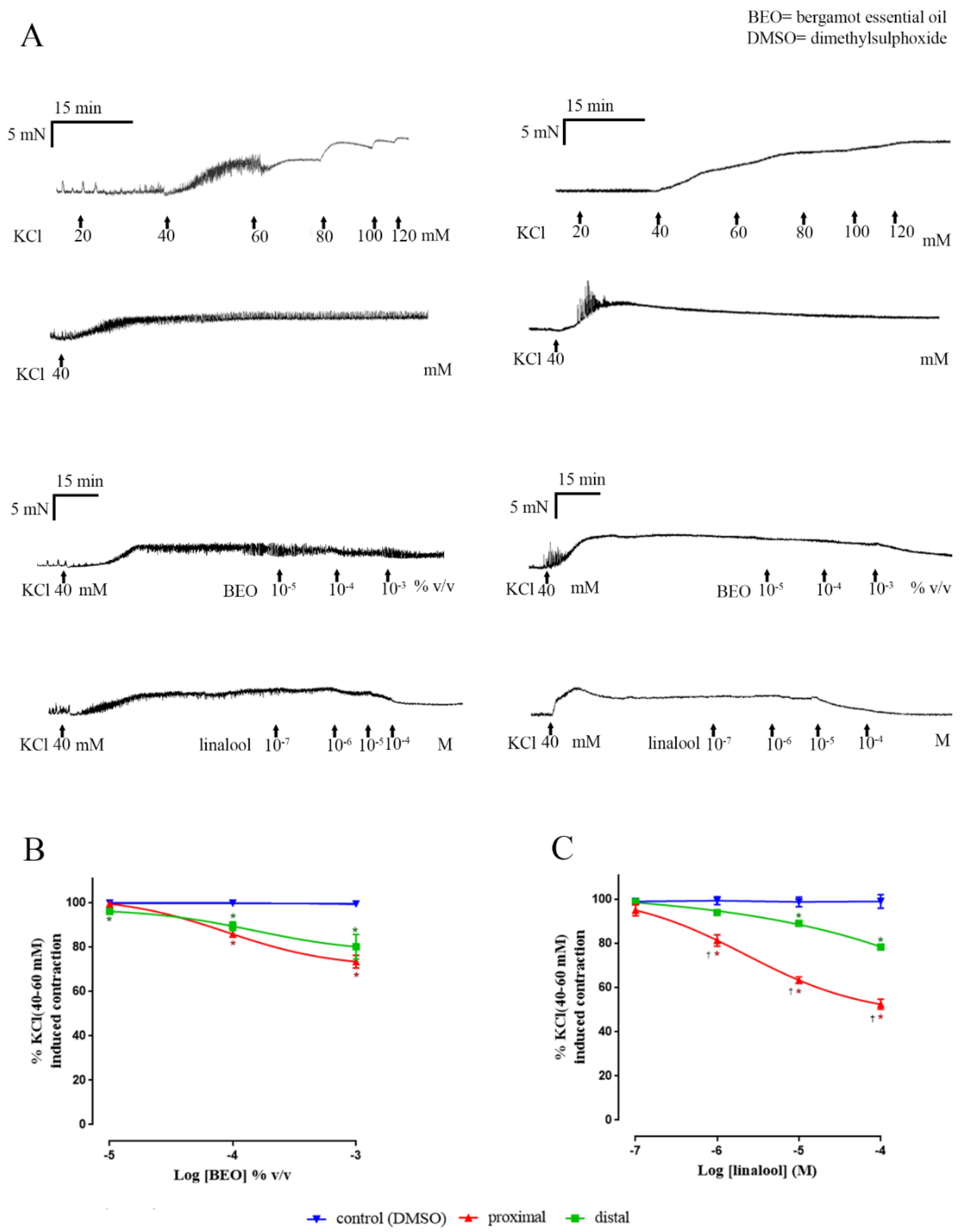 Nutrients 12 01381 g005