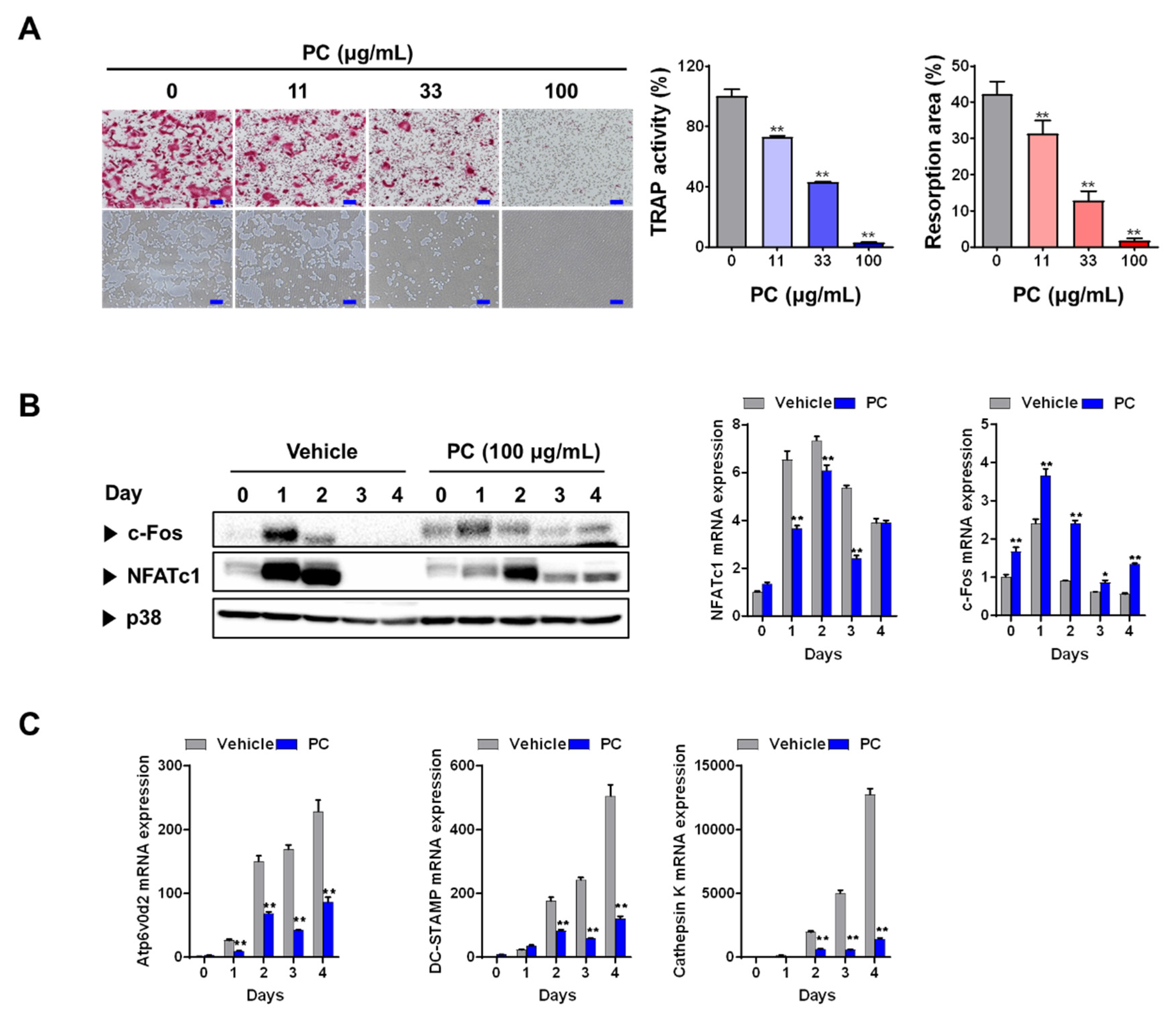 Nutrients 12 01383 g001