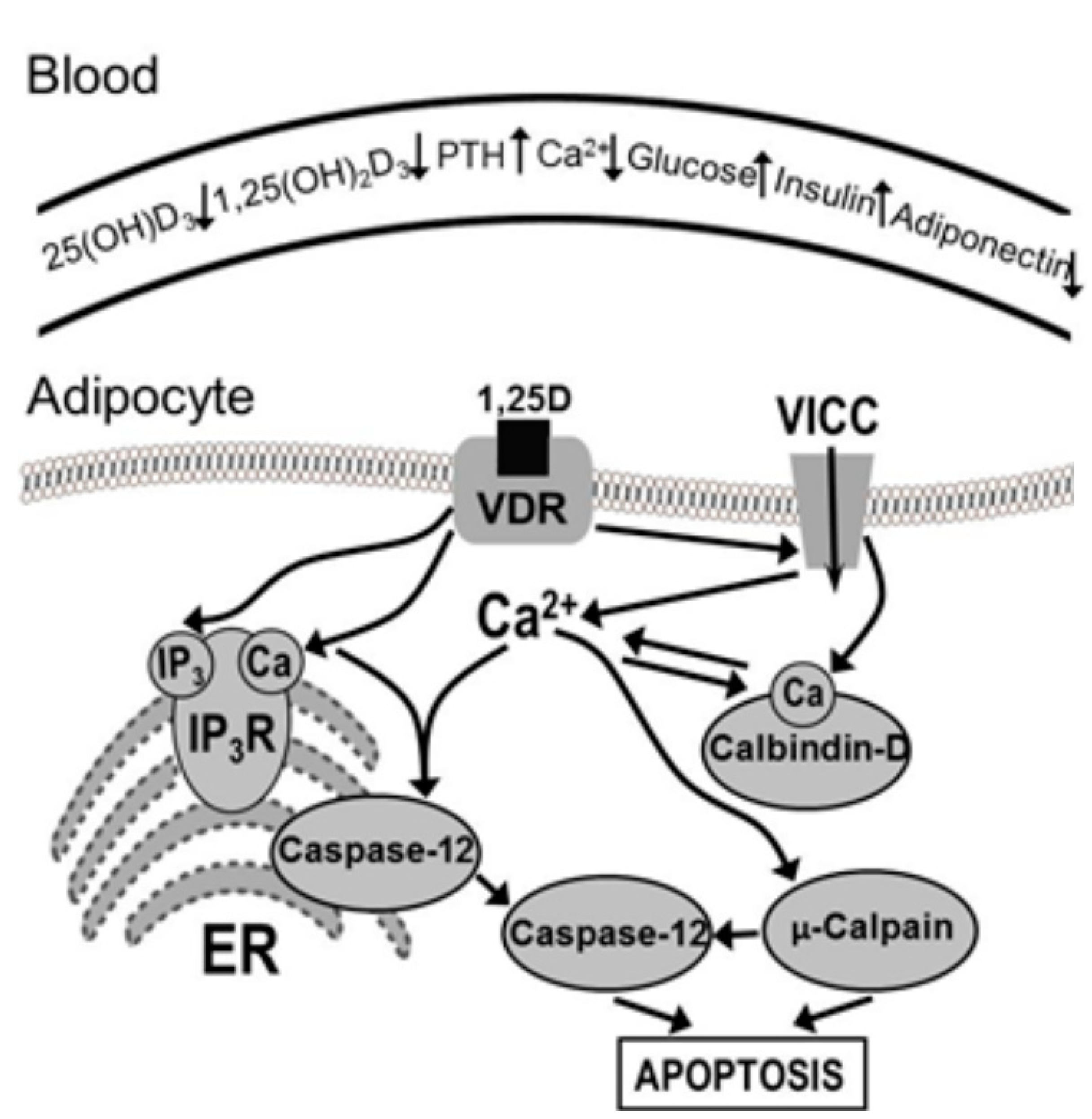 Nutrients 12 01392 g001
