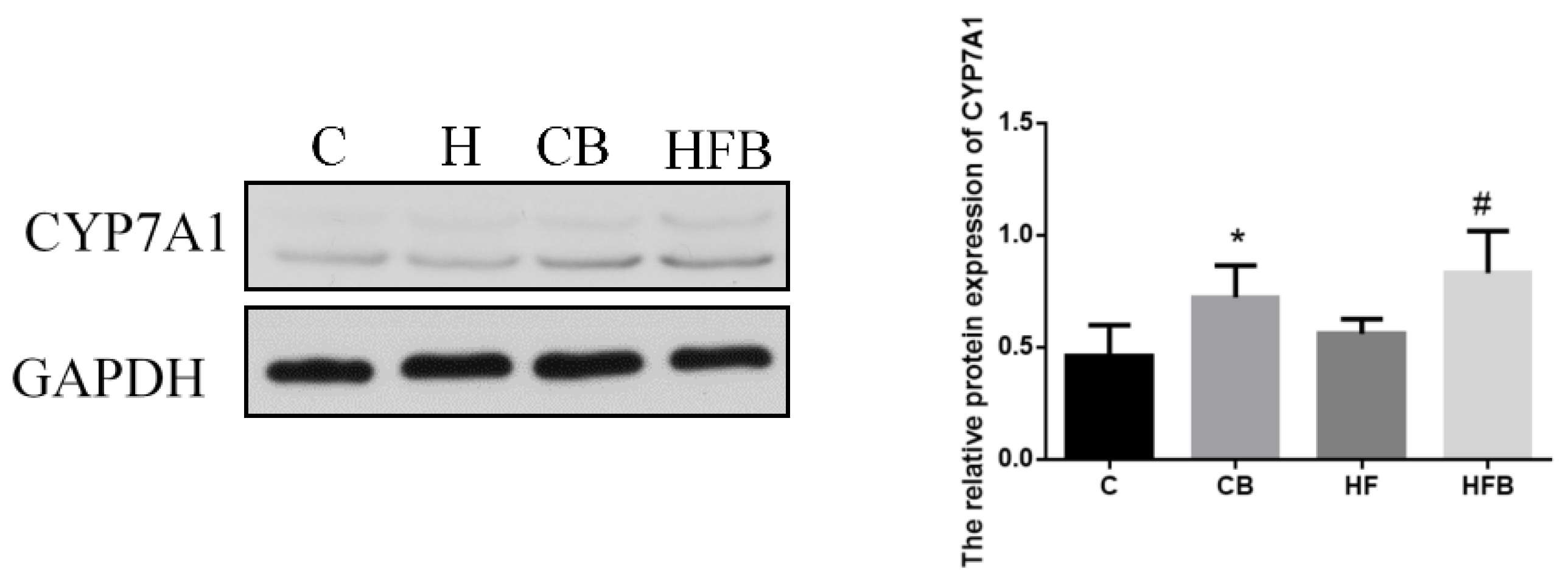 Nutrients 12 01399 g008 Nutrients 12 01399 g008