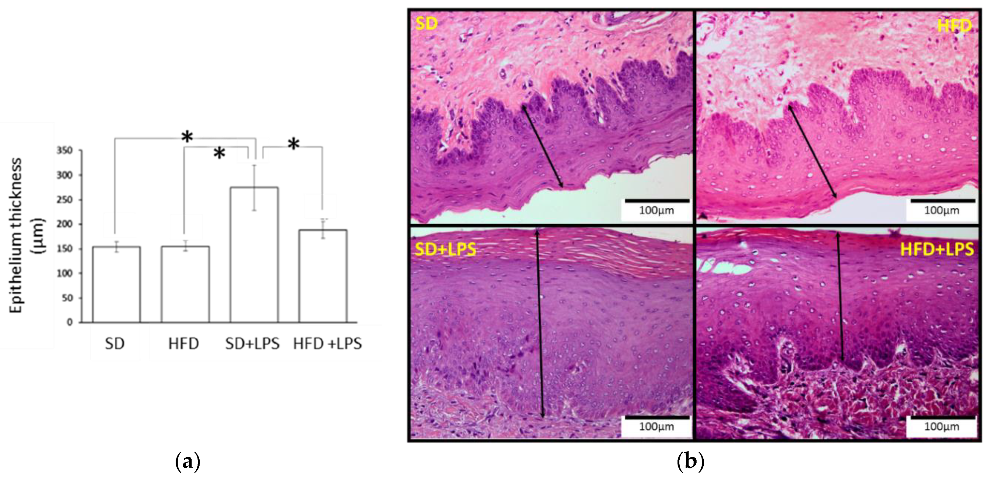 Nutrients 12 01405 g001 Nutrients 12 01405 g001