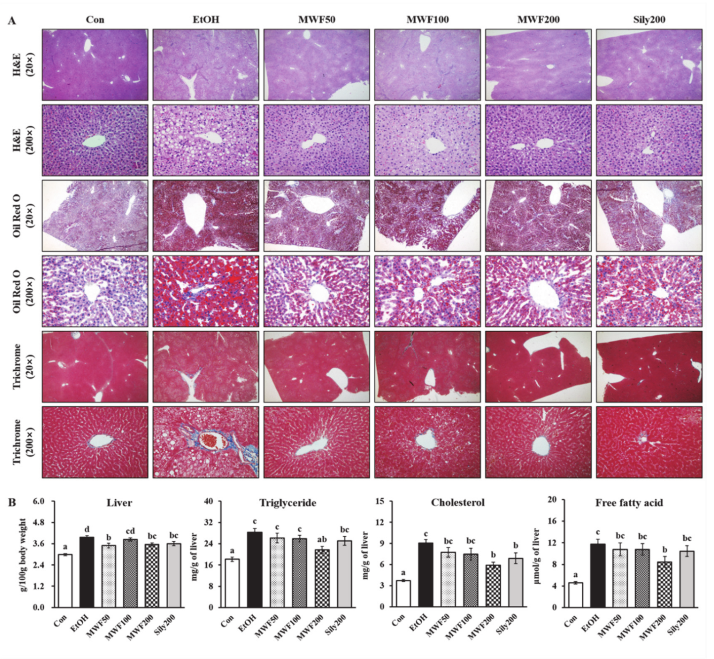 Nutrients 12 01426 g001 Nutrients 12 01426 g001