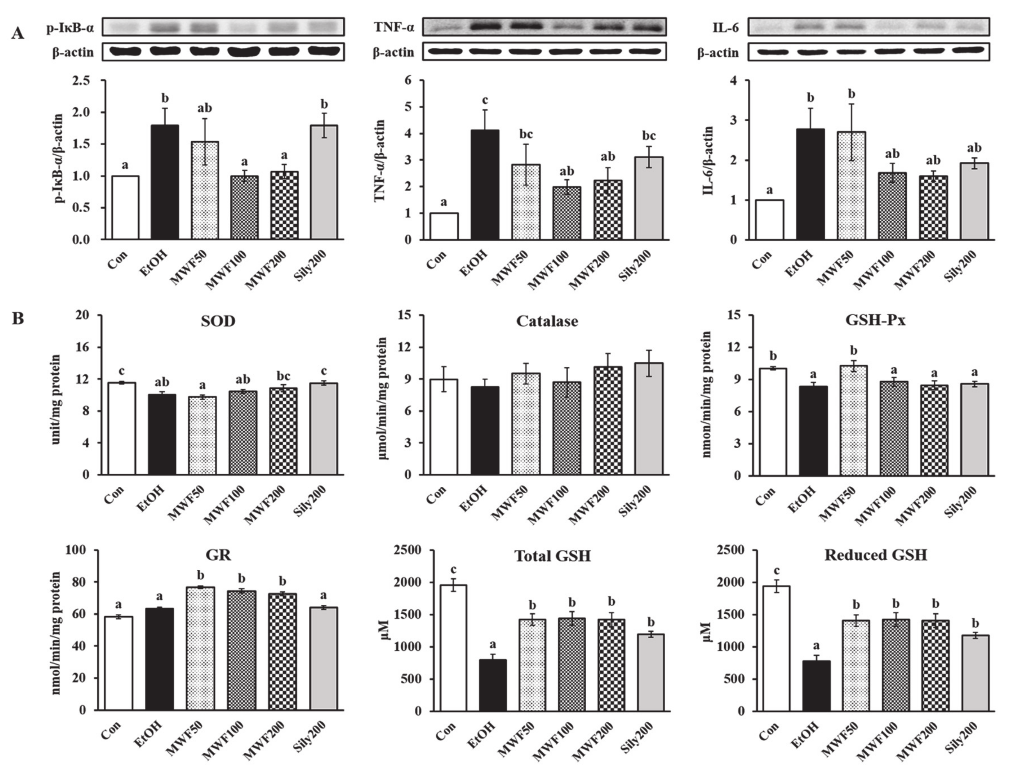 Nutrients 12 01426 g003 Nutrients 12 01426 g003