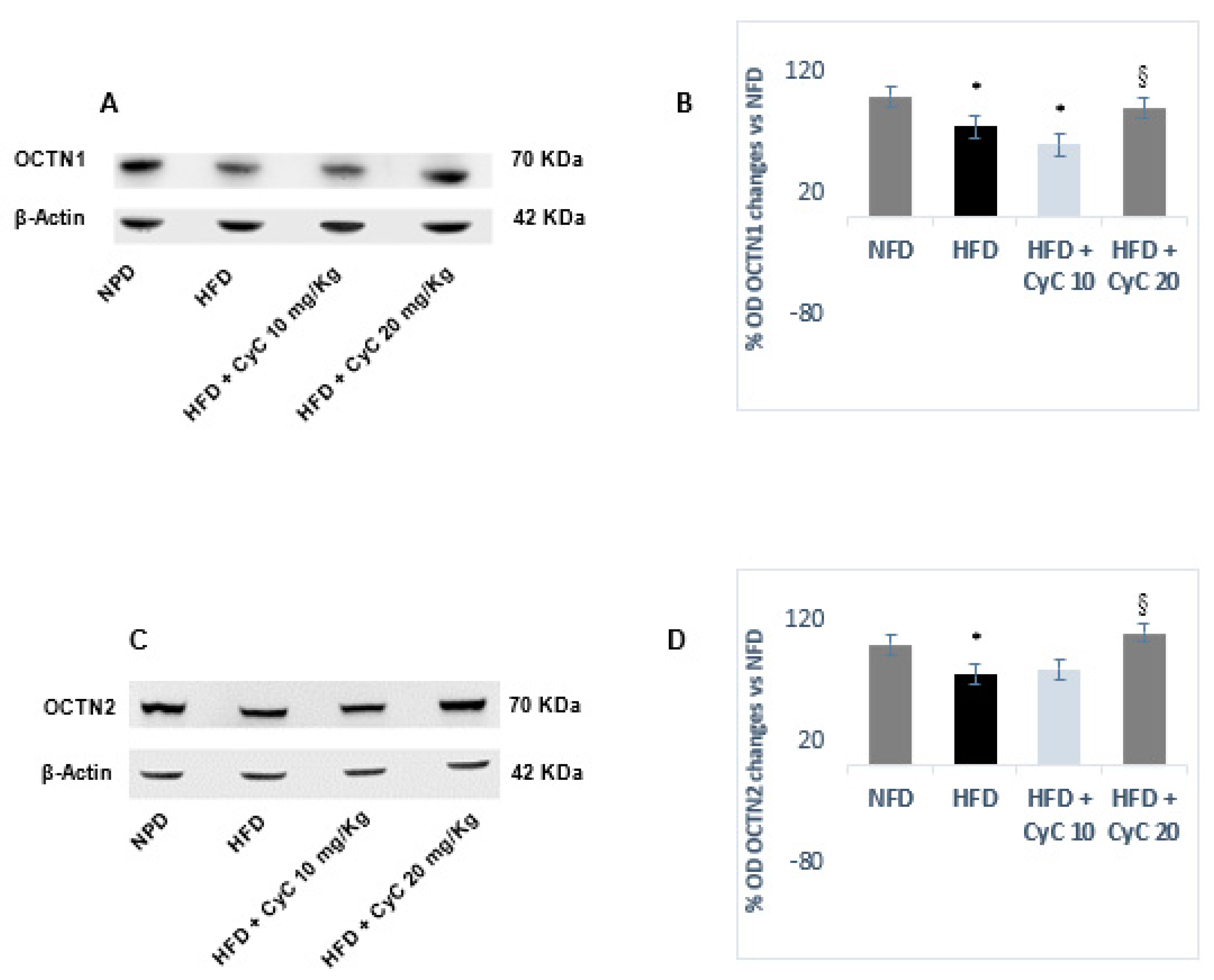 Nutrients 12 01435 g004 Nutrients 12 01435 g004