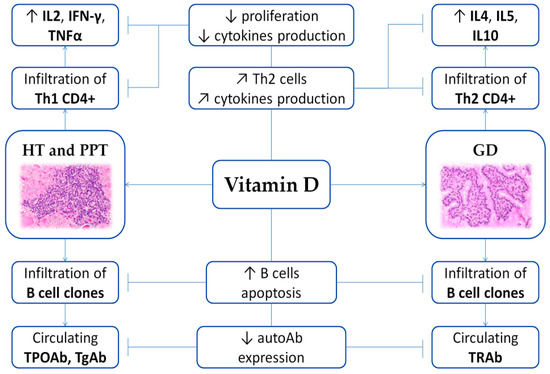 Nutrients 12 01444 g002 550