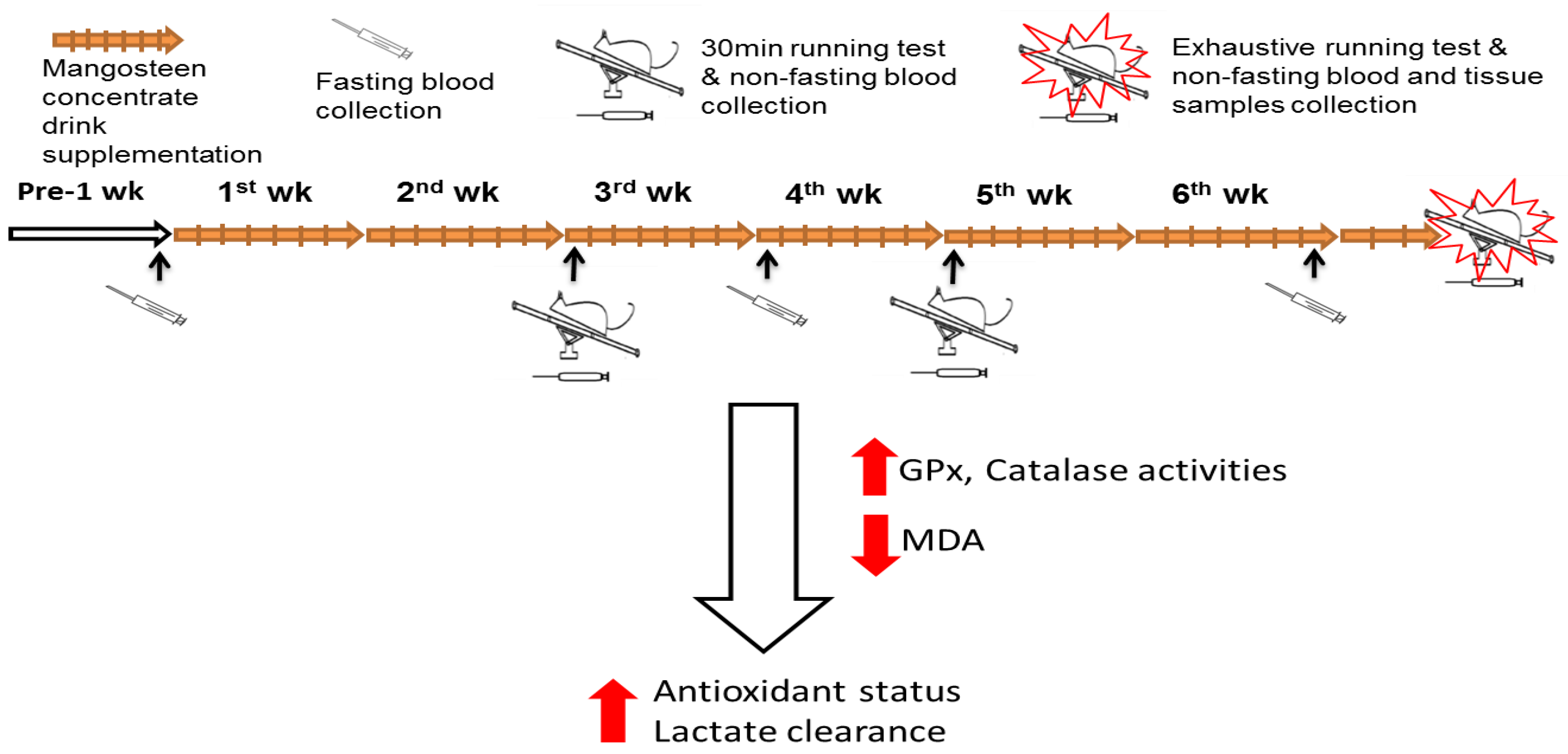 Nutrients 12 01447 g001