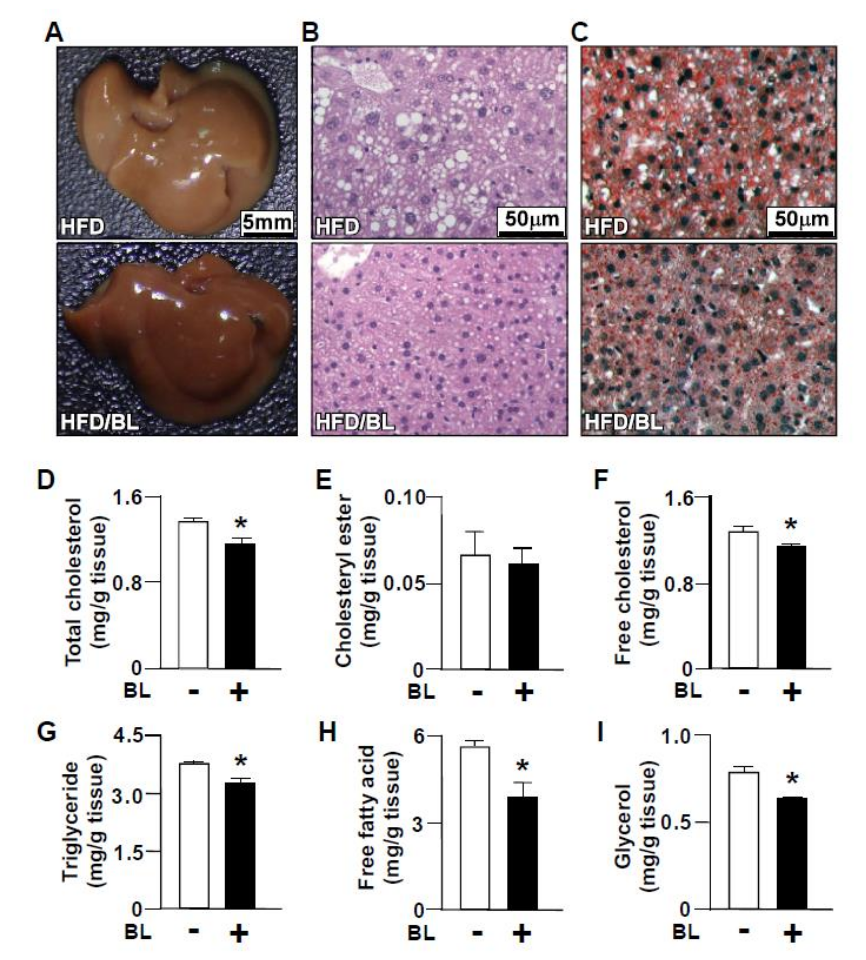 Nutrients 12 01458 g002