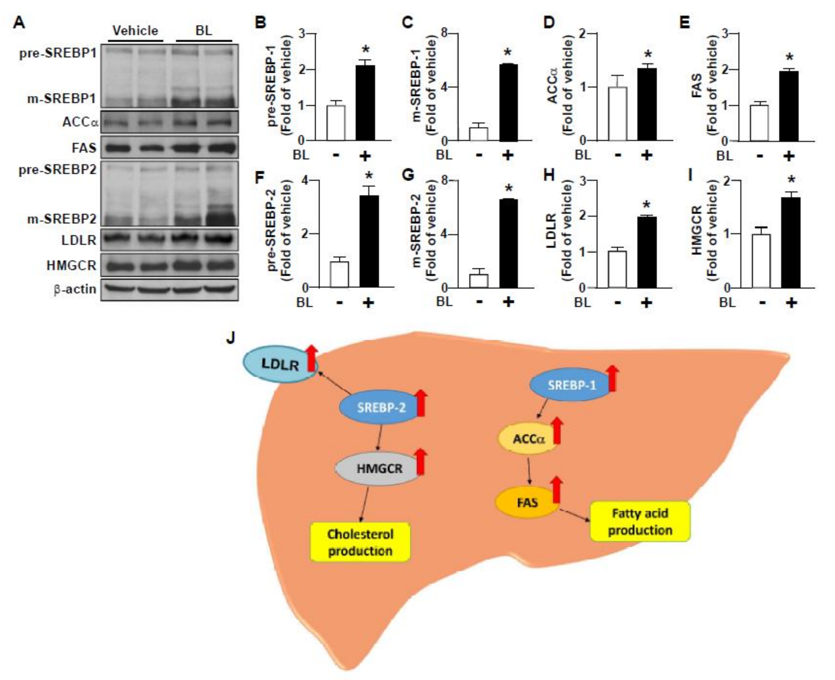 Nutrients 12 01458 g003