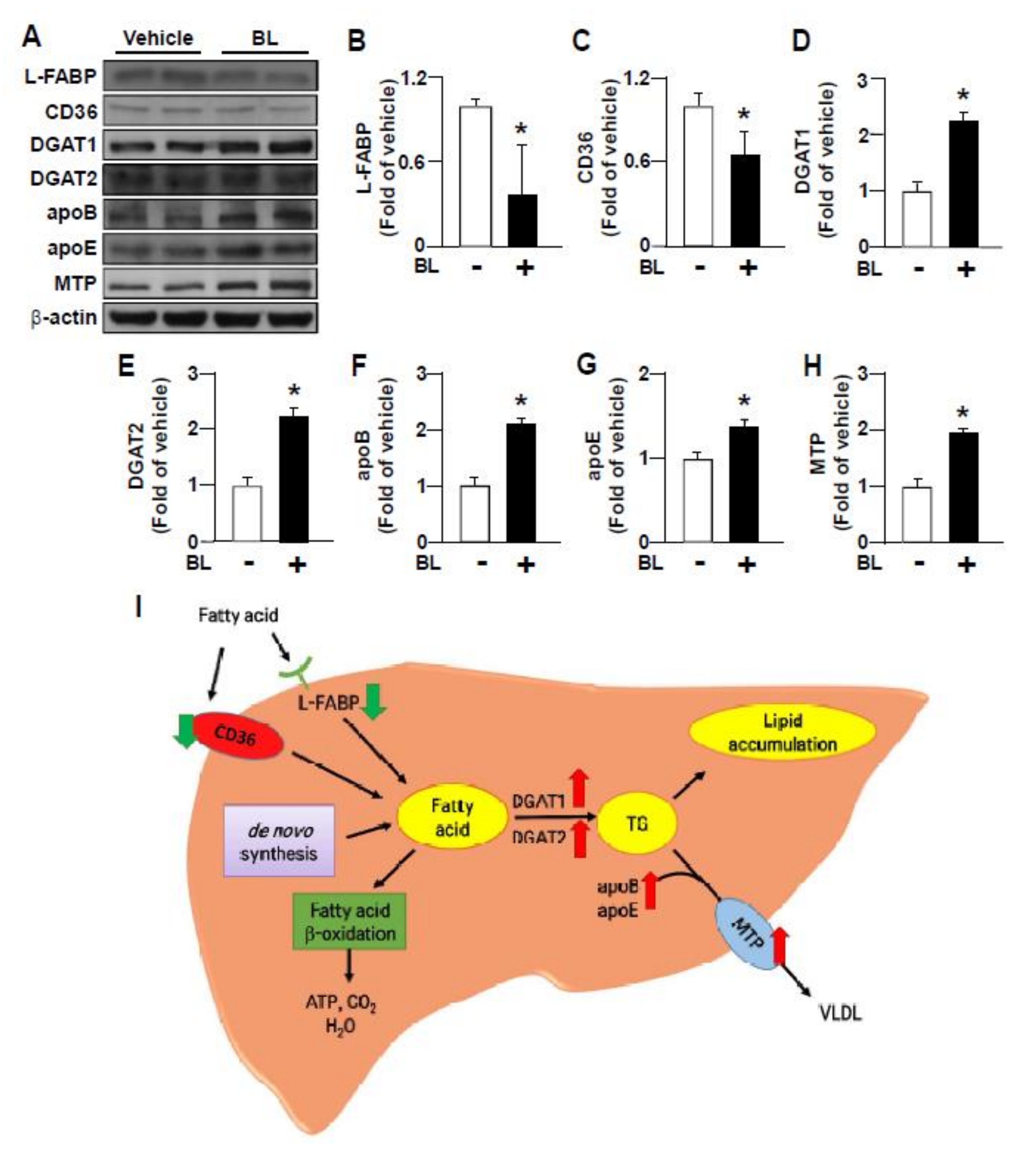 Nutrients 12 01458 g005