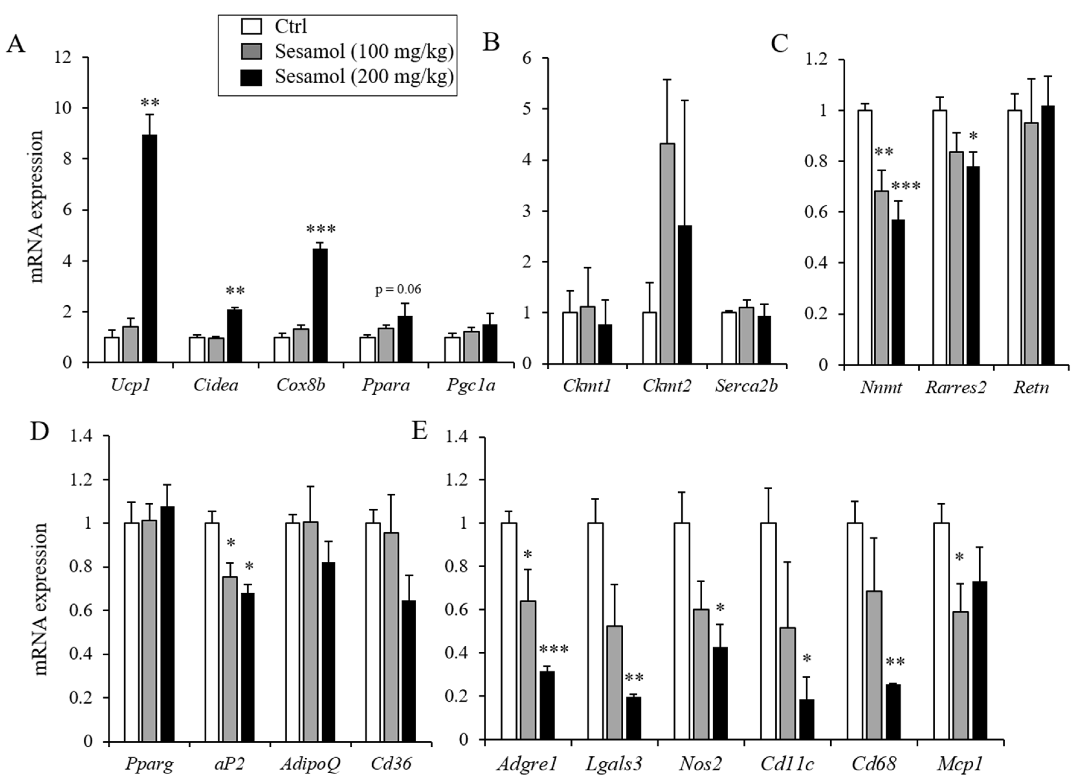 Nutrients 12 01459 g005 Nutrients 12 01459 g005