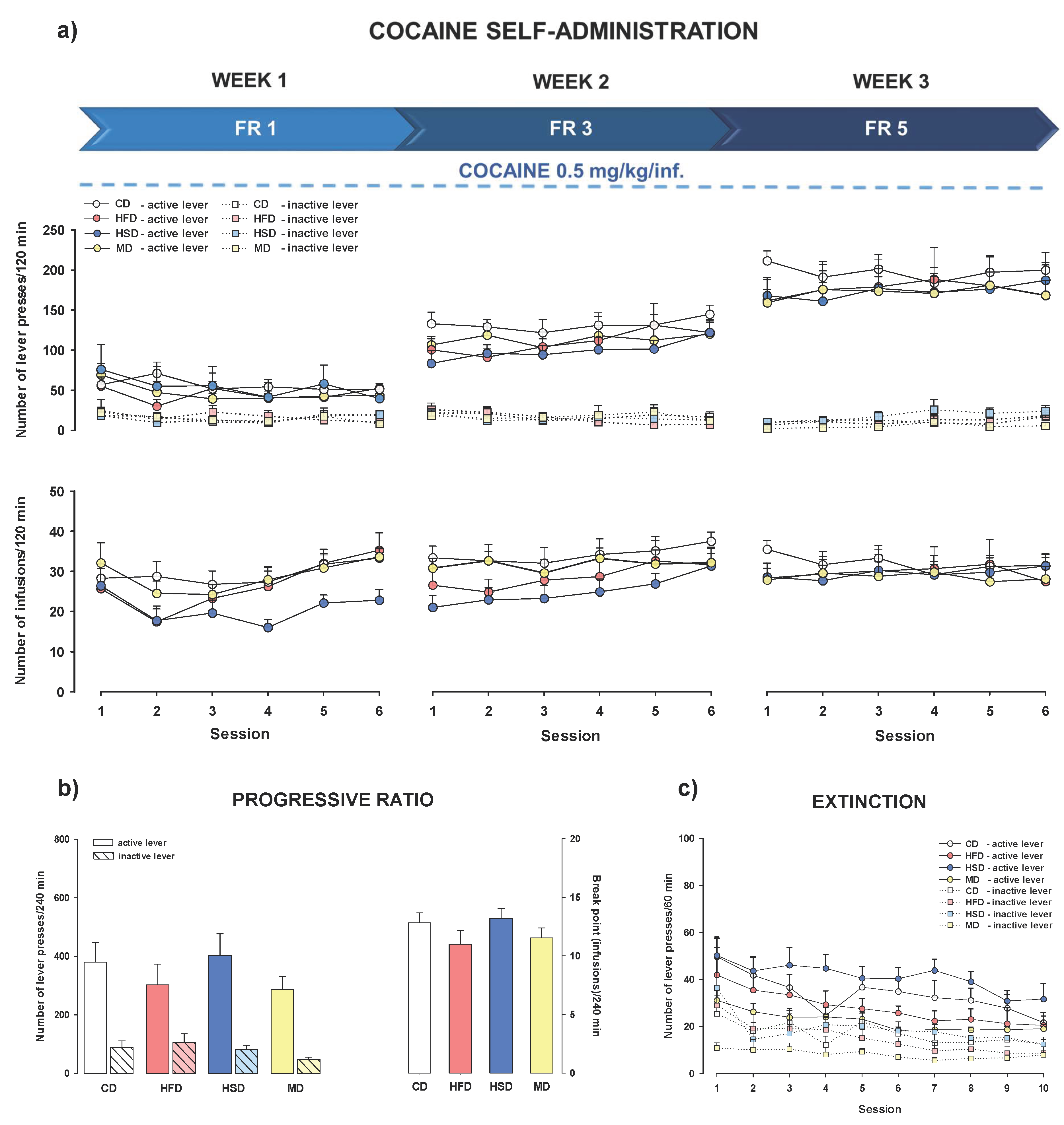 Nutrients 12 01462 g003