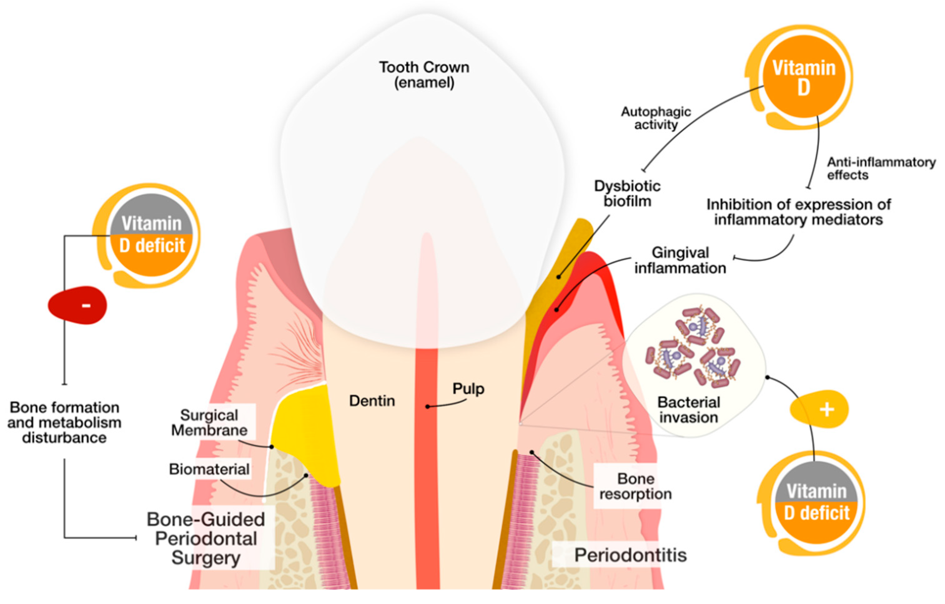 Nutrients 12 01471 g003