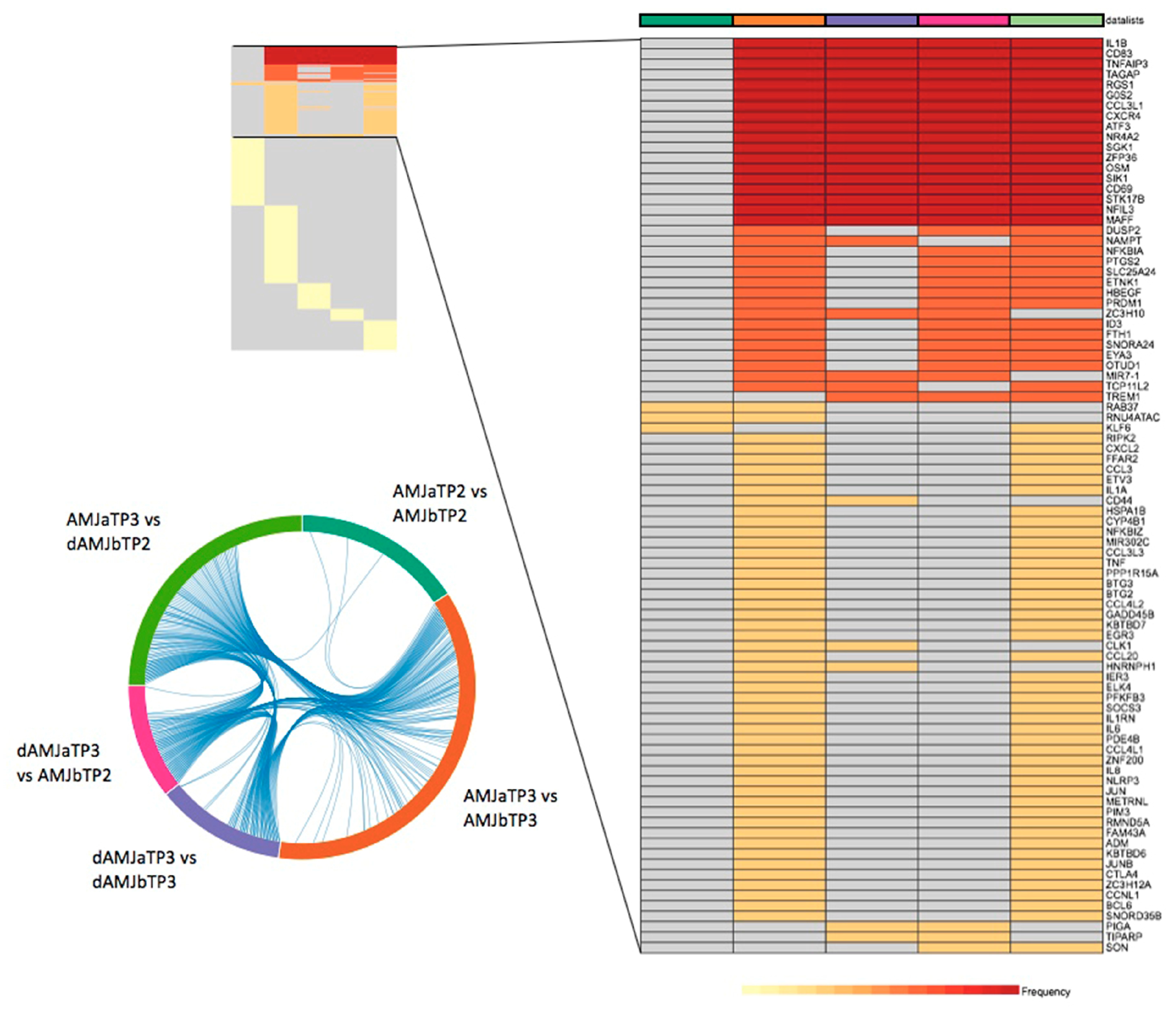 Nutrients 12 01484 g002 Nutrients 12 01484 g002