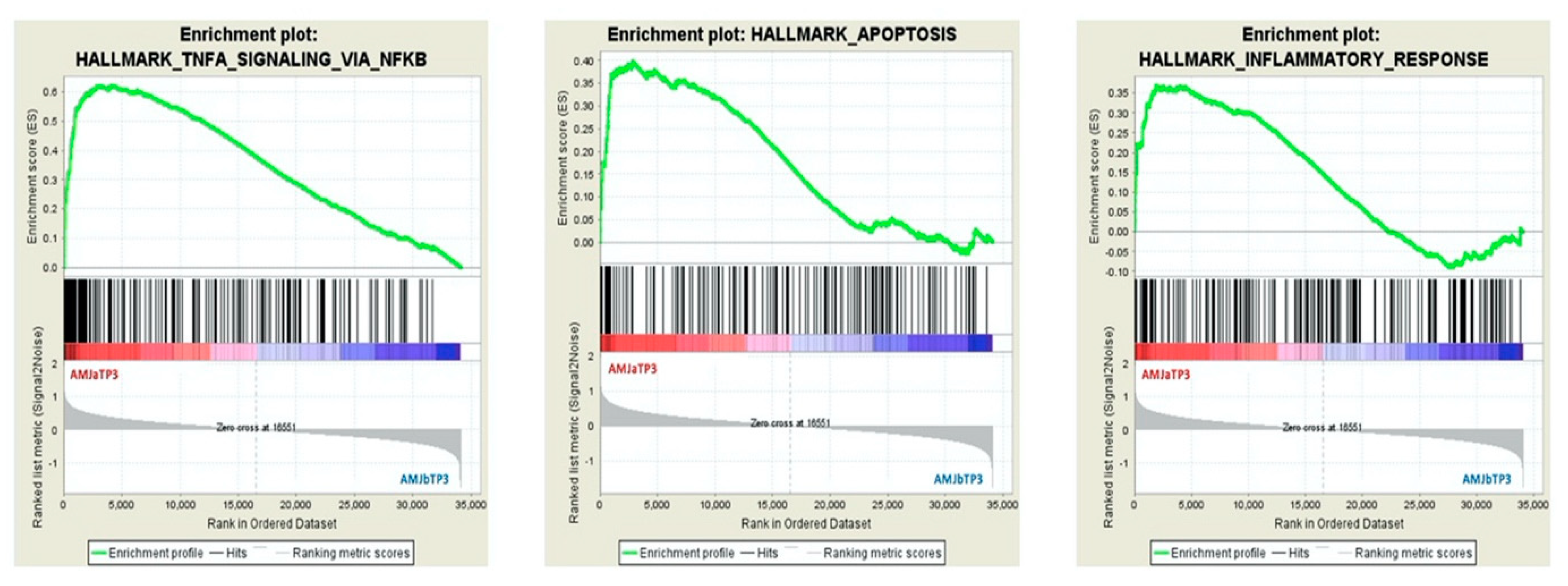 Nutrients 12 01484 g003 Nutrients 12 01484 g003