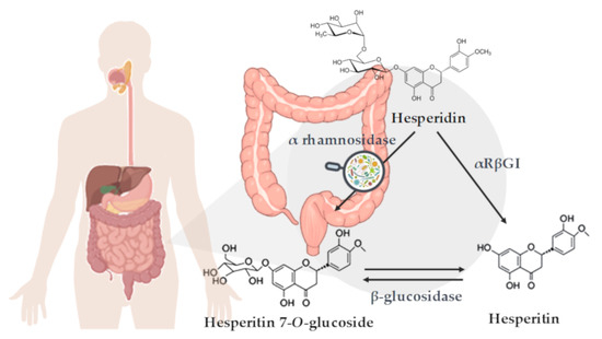 Nutrients 12 01488 g001 550