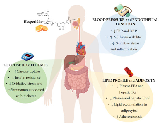 Nutrients 12 01488 g002 550