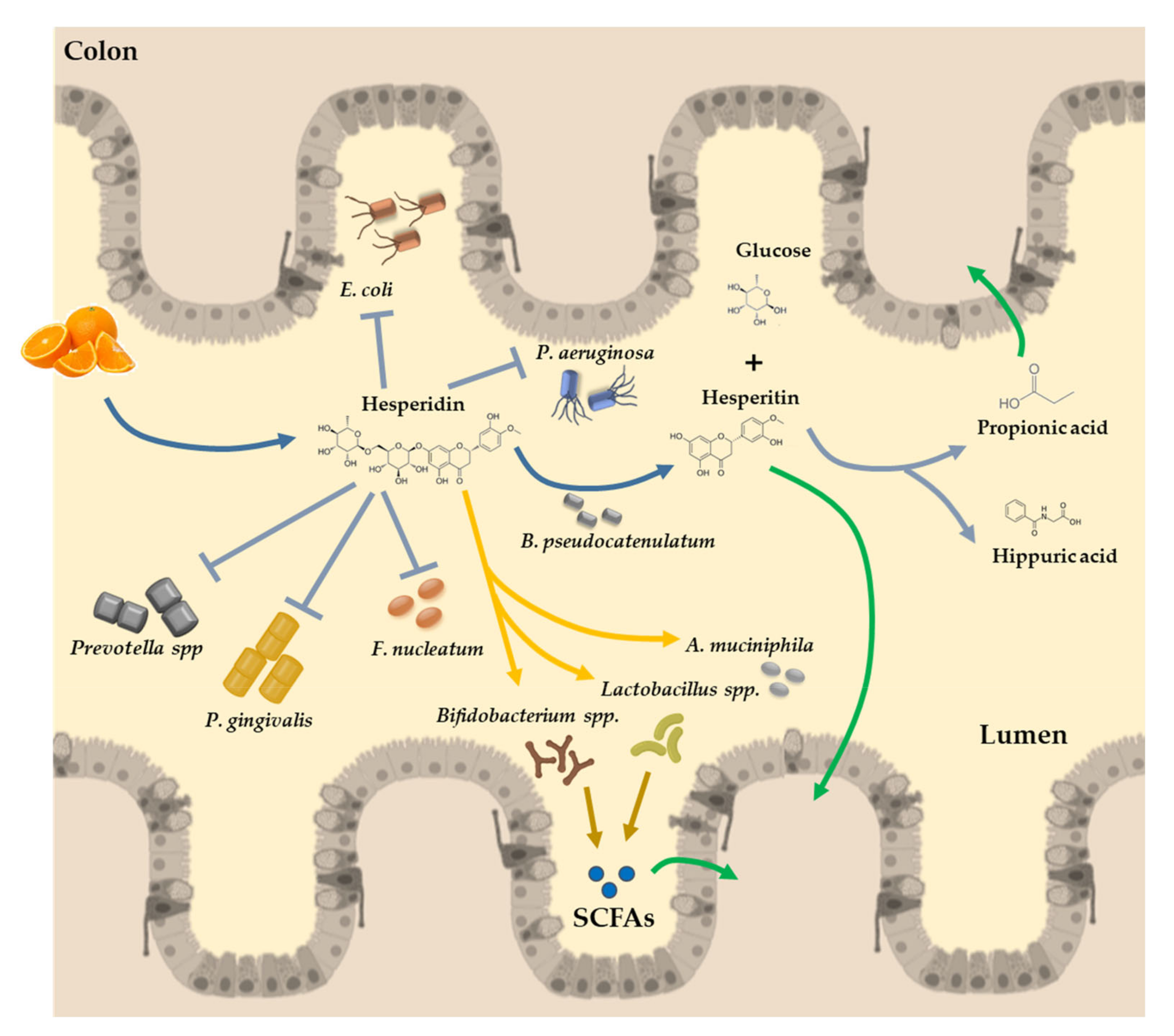 Nutrients 12 01488 g003 Nutrients 12 01488 g003