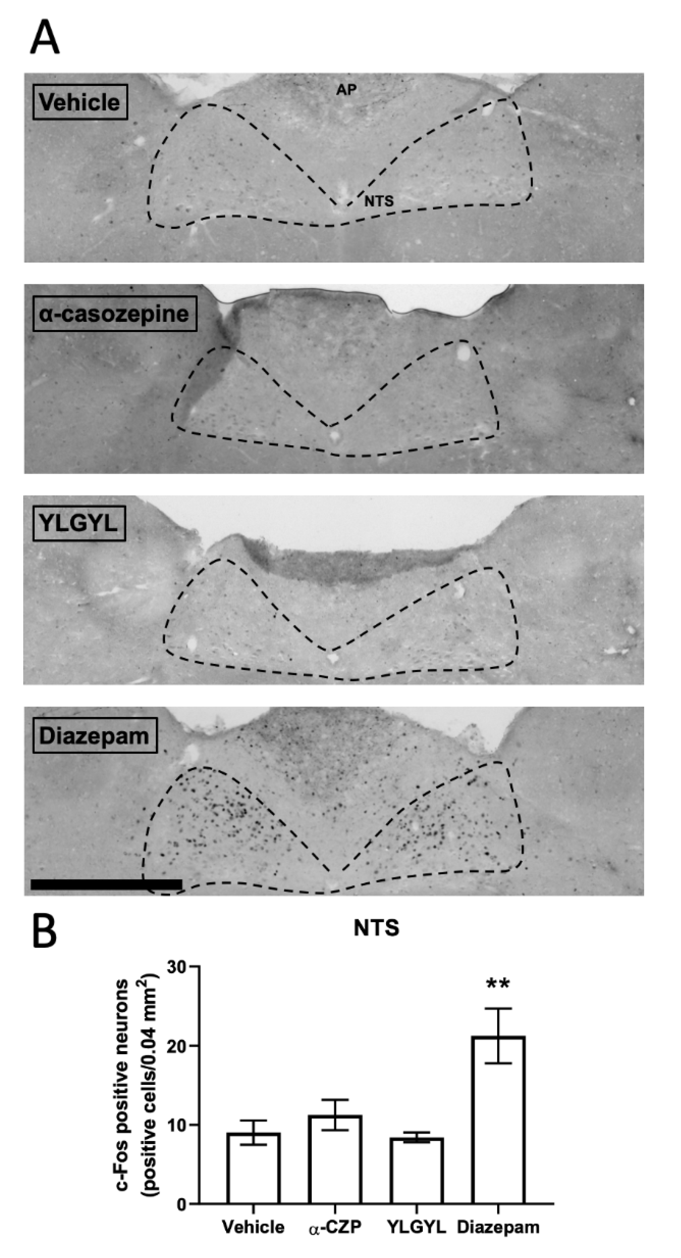 Nutrients 12 01497 g003 Nutrients 12 01497 g003