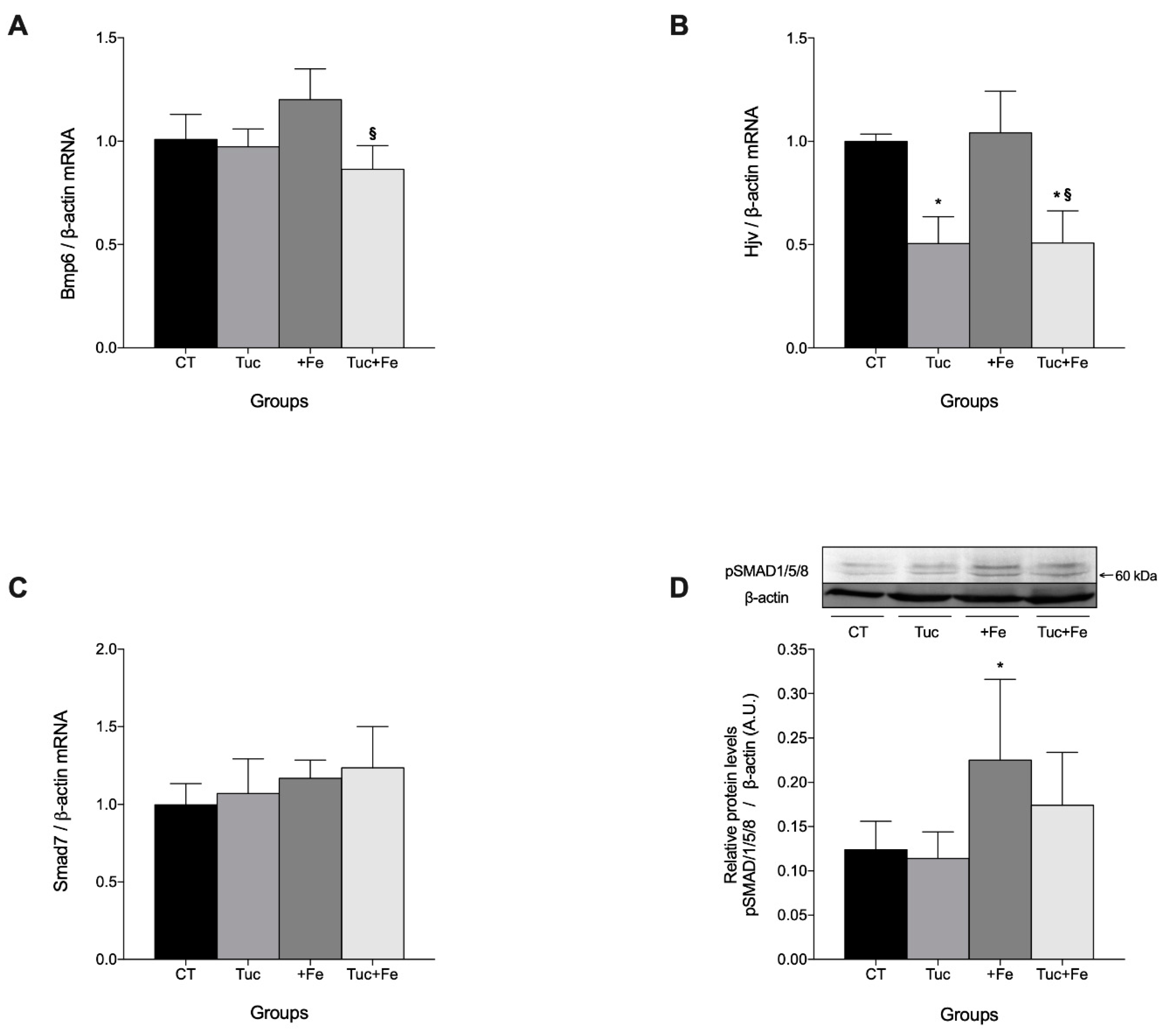 Nutrients 12 01515 g002