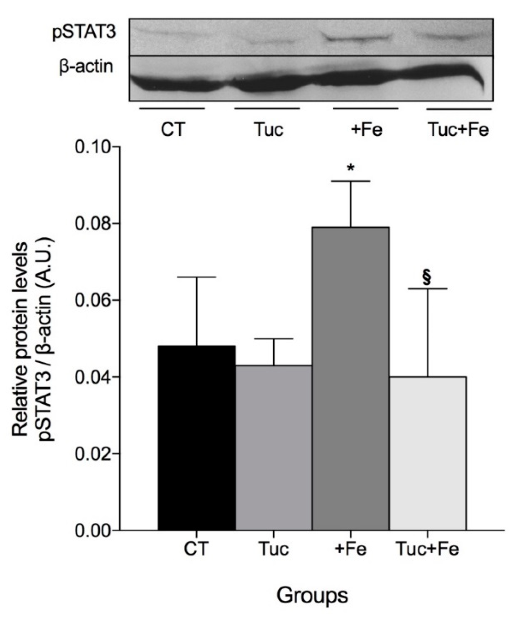 Nutrients 12 01515 g004