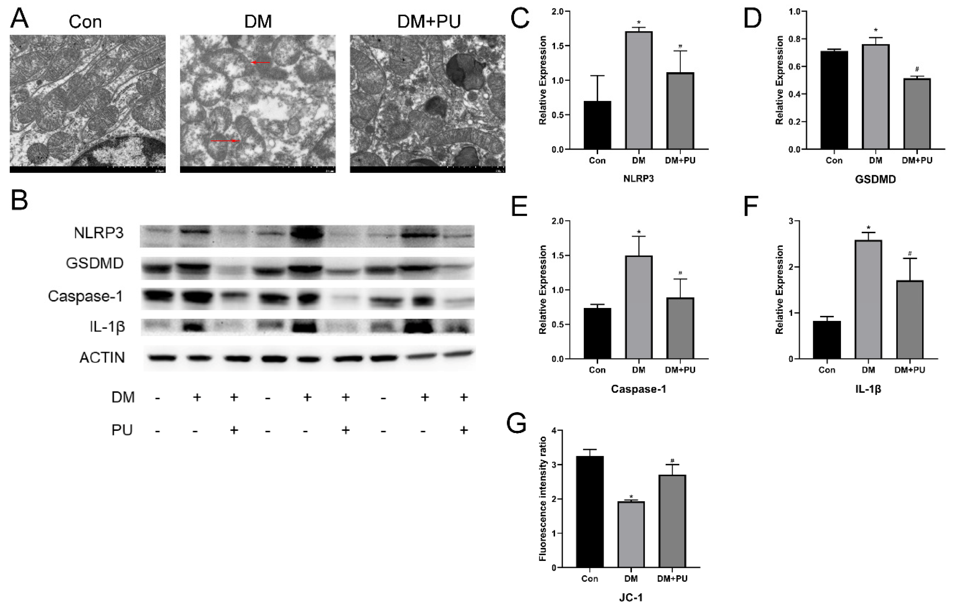 Nutrients 12 01516 g003