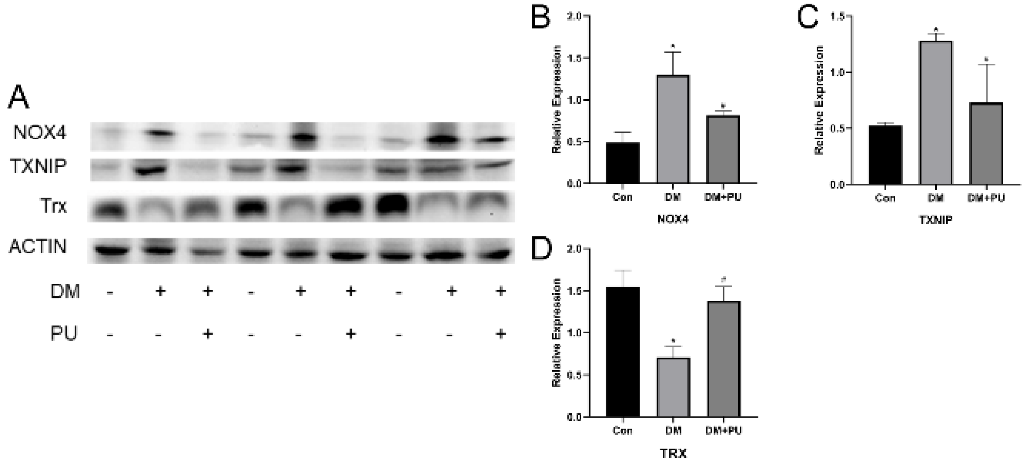 Nutrients 12 01516 g004