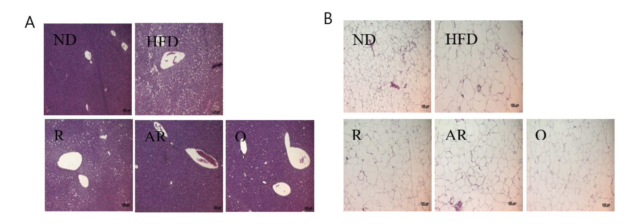 Nutrients 12 01539 g001