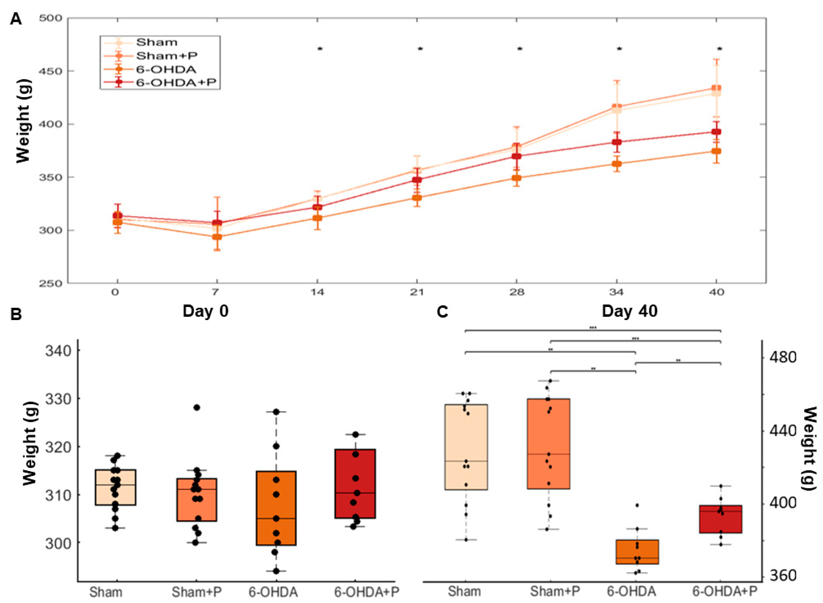 Nutrients 12 01551 g010