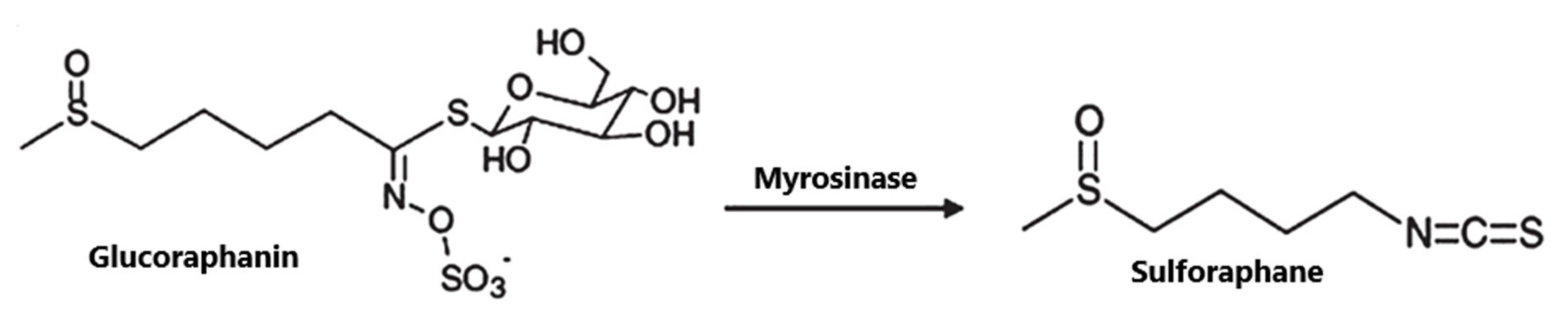 Nutrients 12 01559 g001