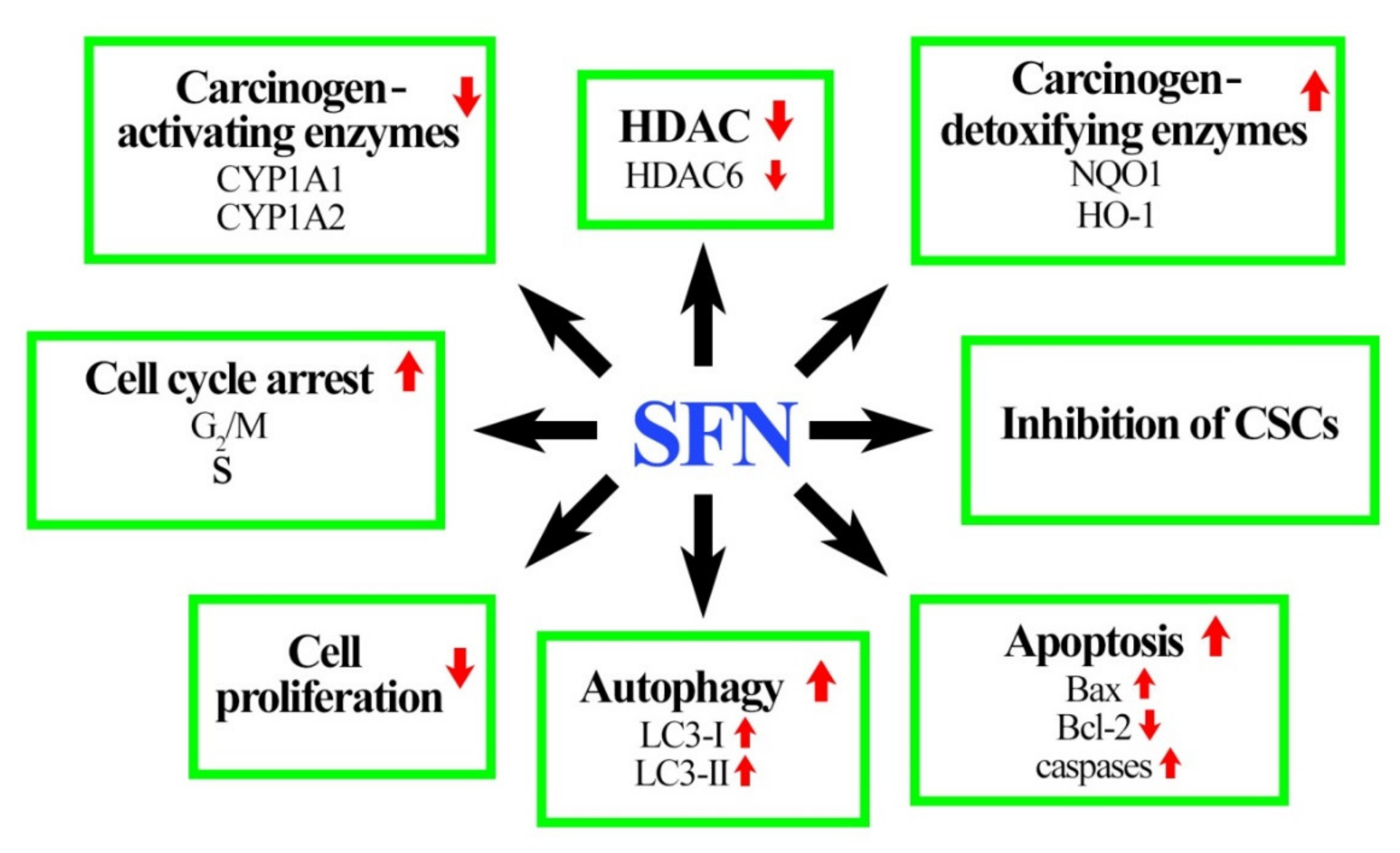 Nutrients 12 01559 g002