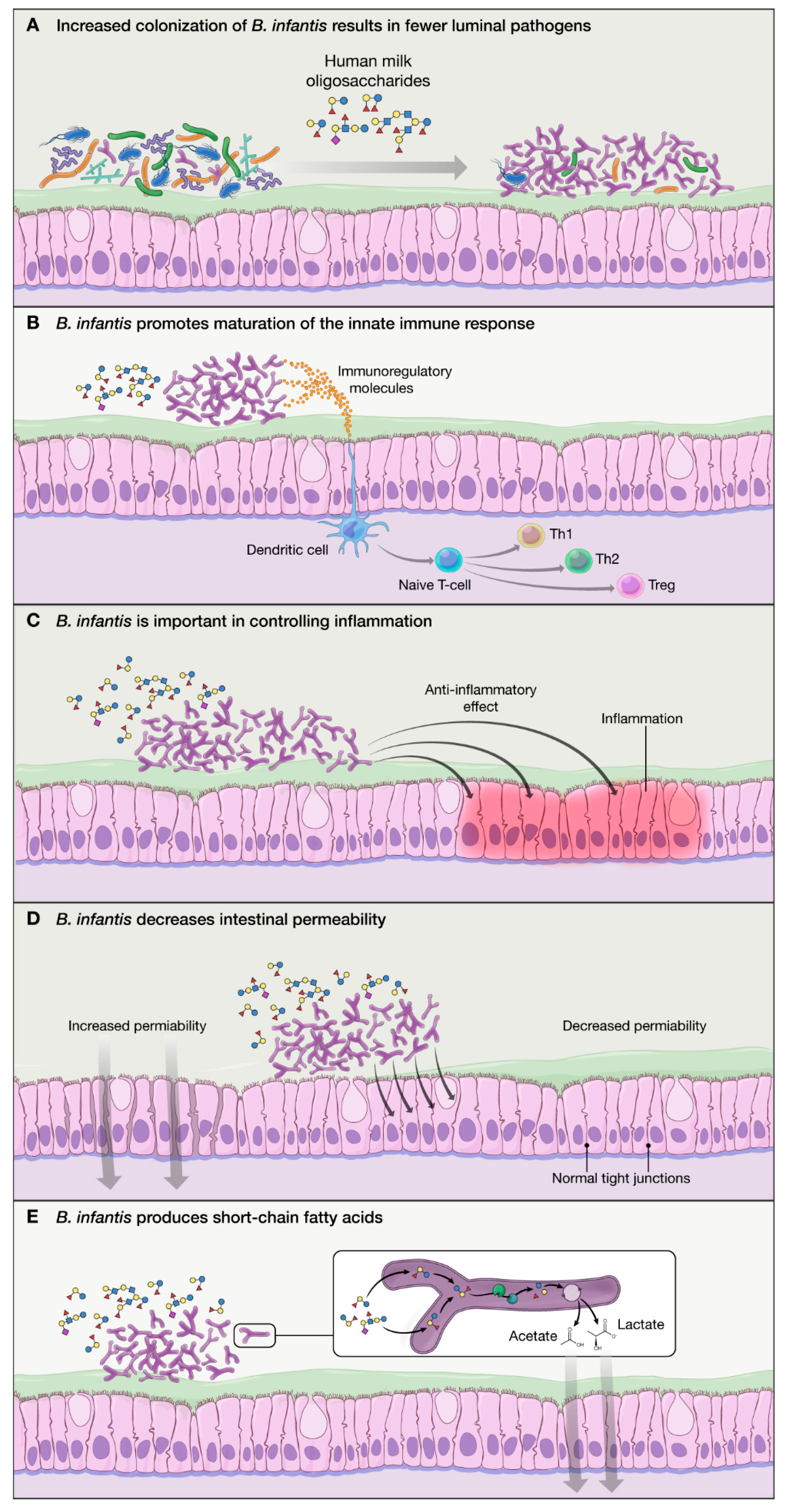 Nutrients 12 01581 g002
