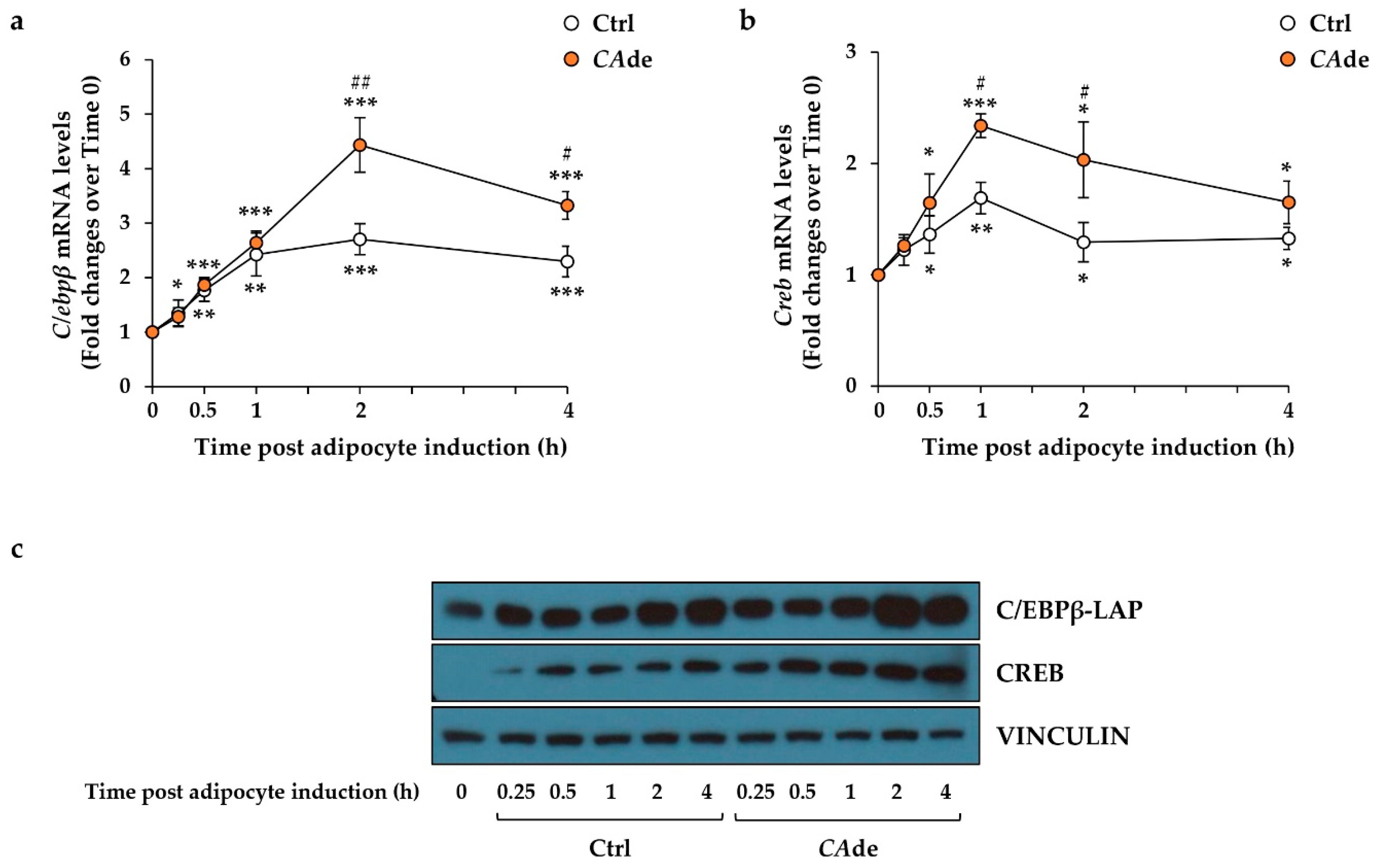 Nutrients 12 01587 g002