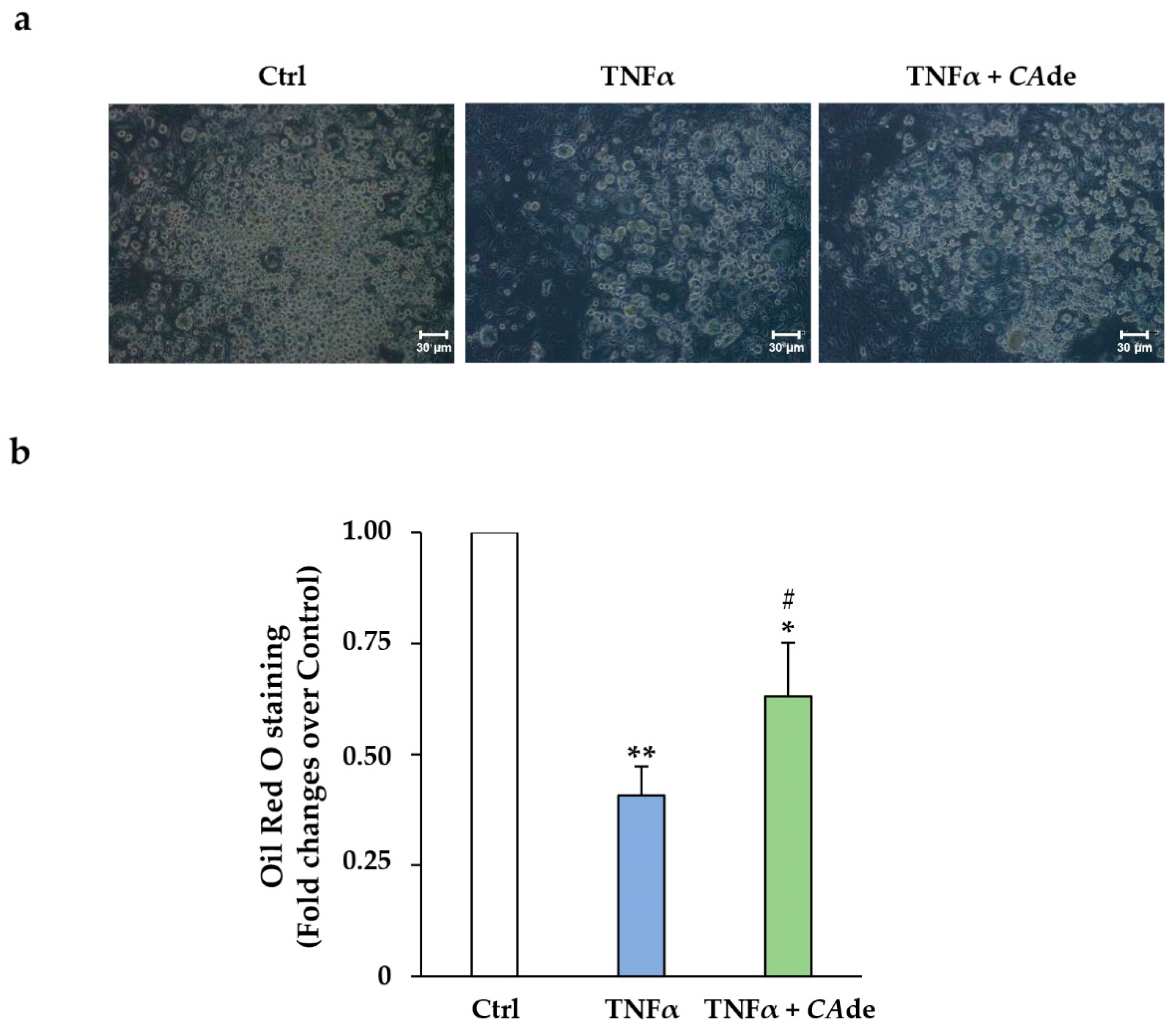 Nutrients 12 01587 g004