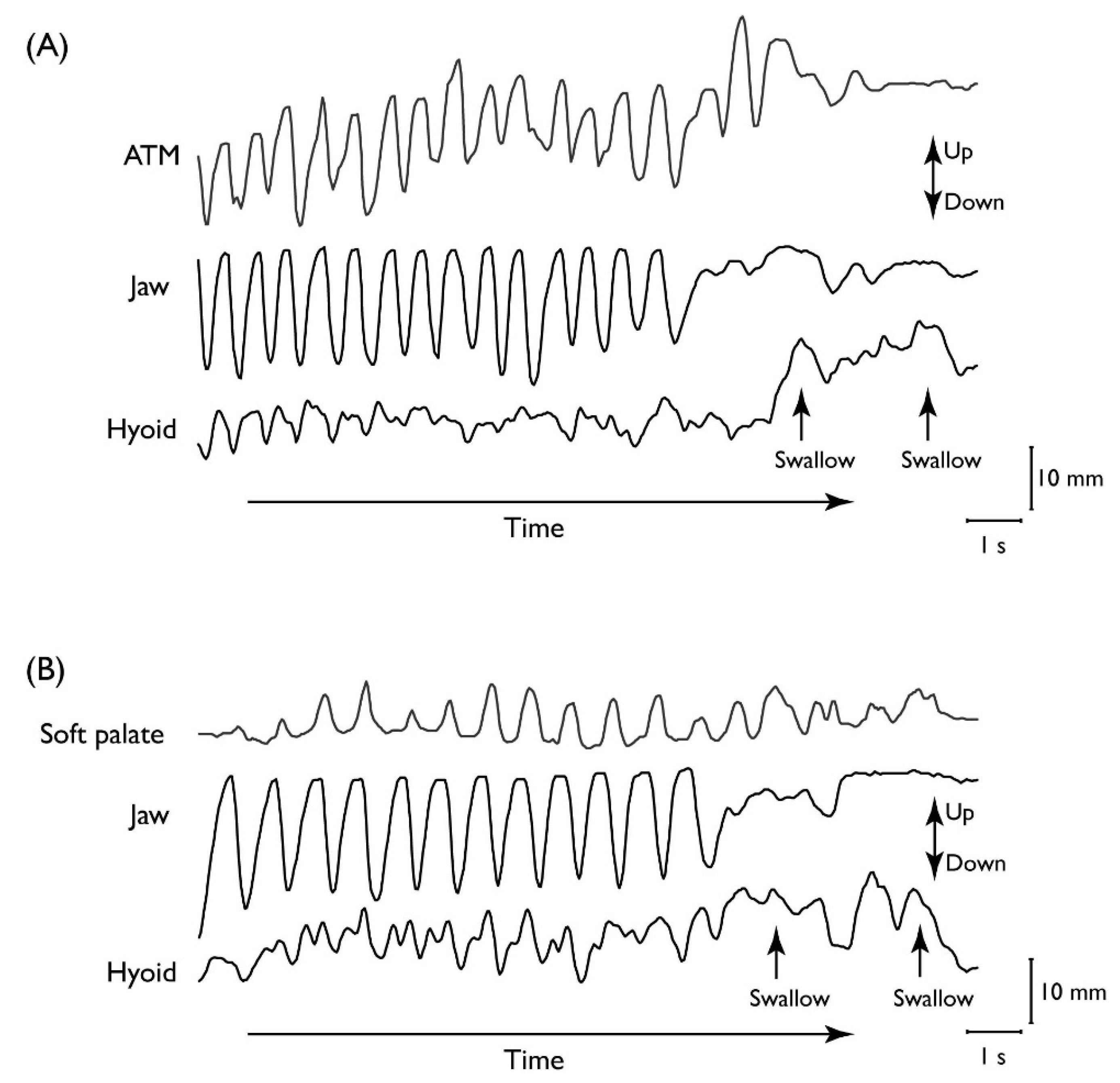 Nutrients 12 01613 g002 Nutrients 12 01613 g002