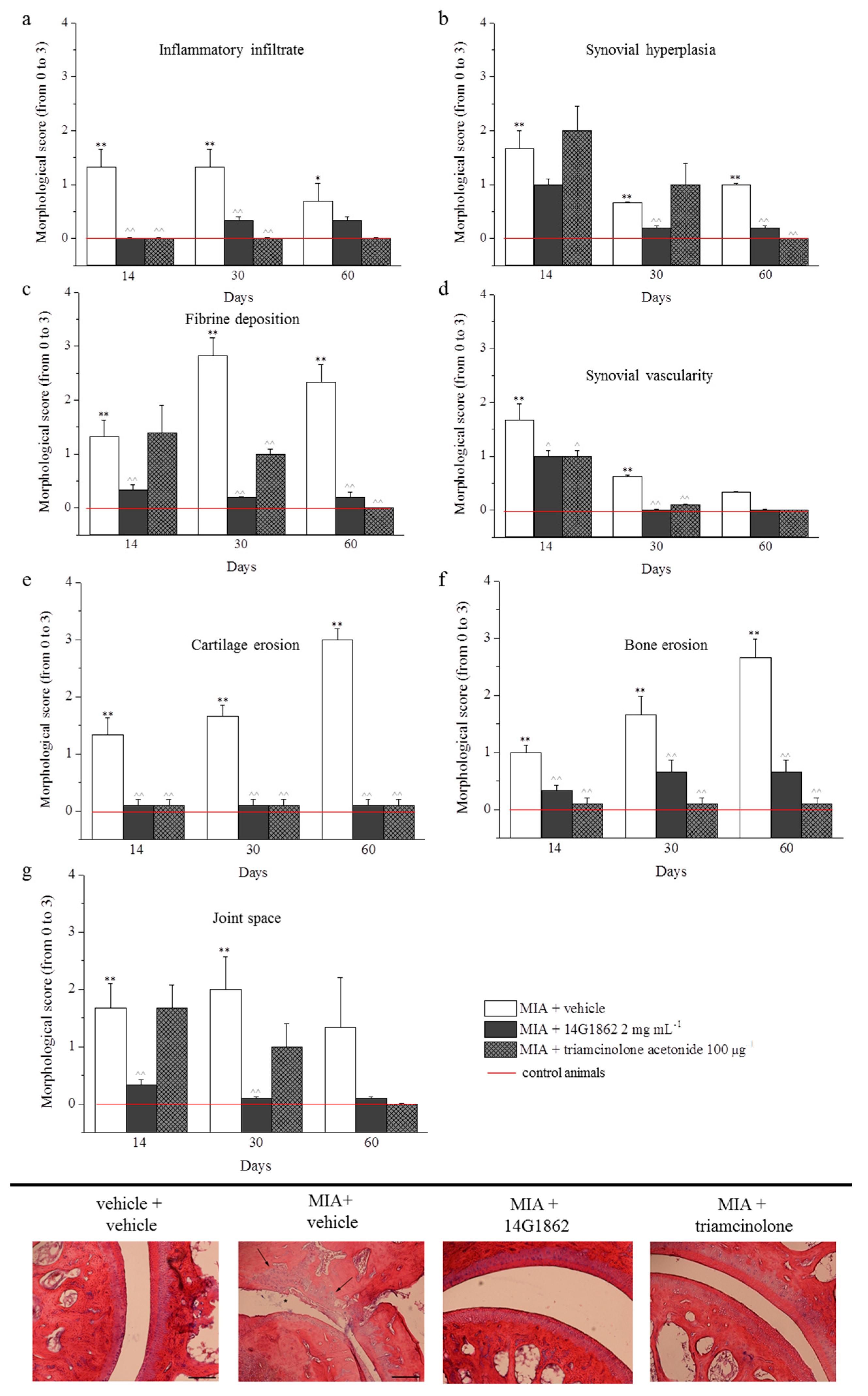 Nutrients 12 01618 g004