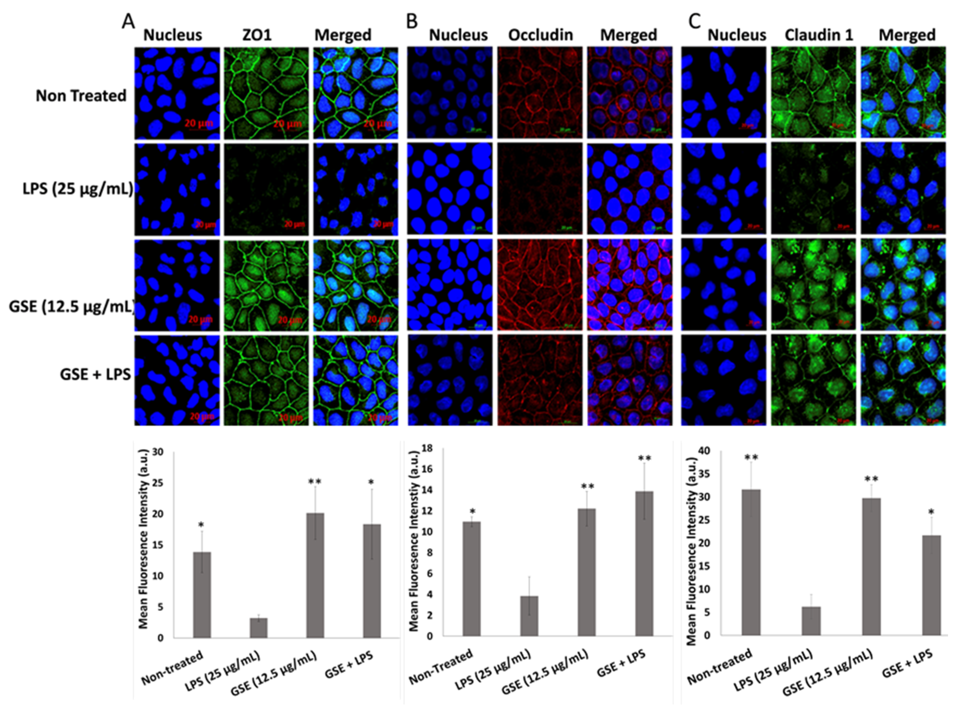 Nutrients 12 01623 g005