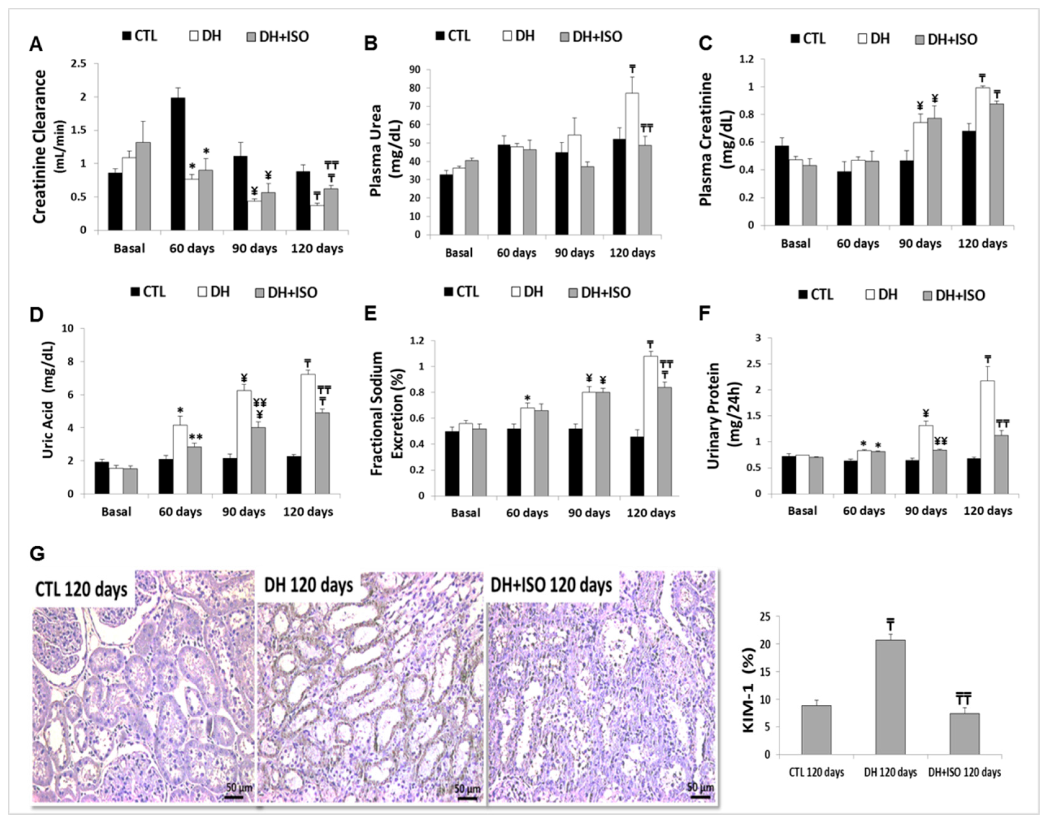 Nutrients 12 01624 g003 Nutrients 12 01624 g003